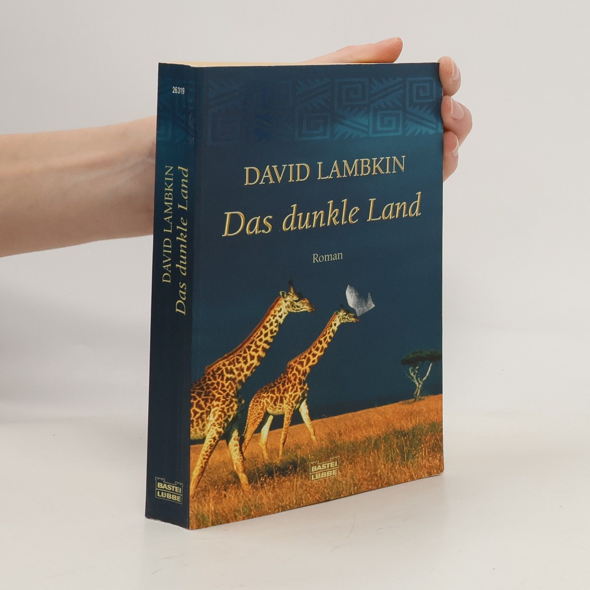 David Lambkin Das dunkle Land