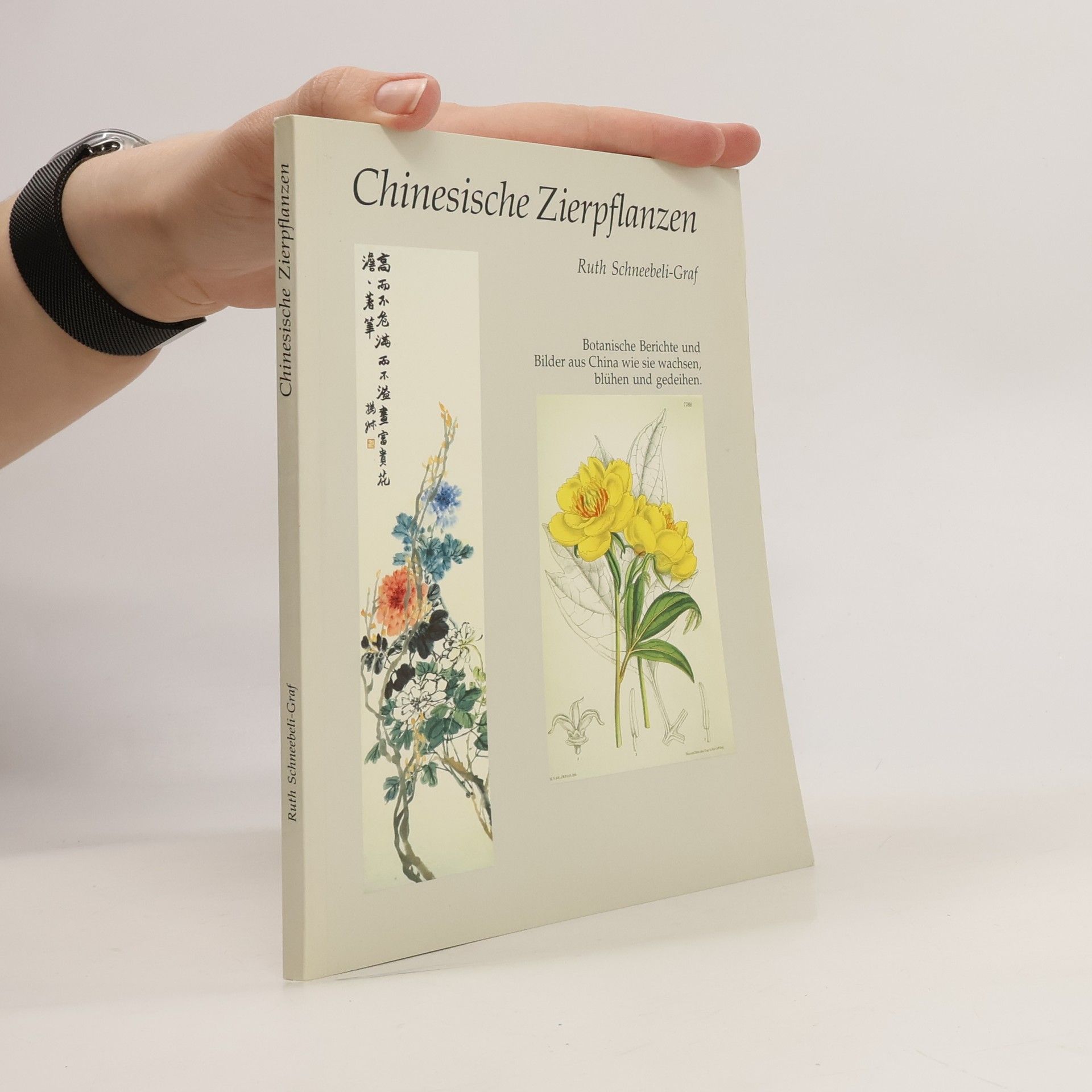 kolektiv Zierpflanzen Chinas