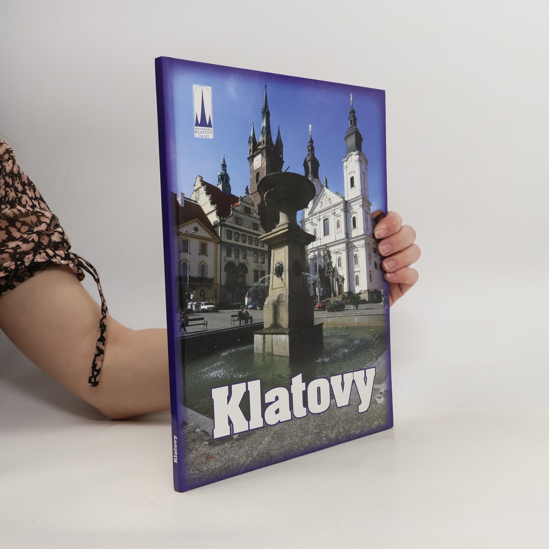 Pavel Hubený Klatovy