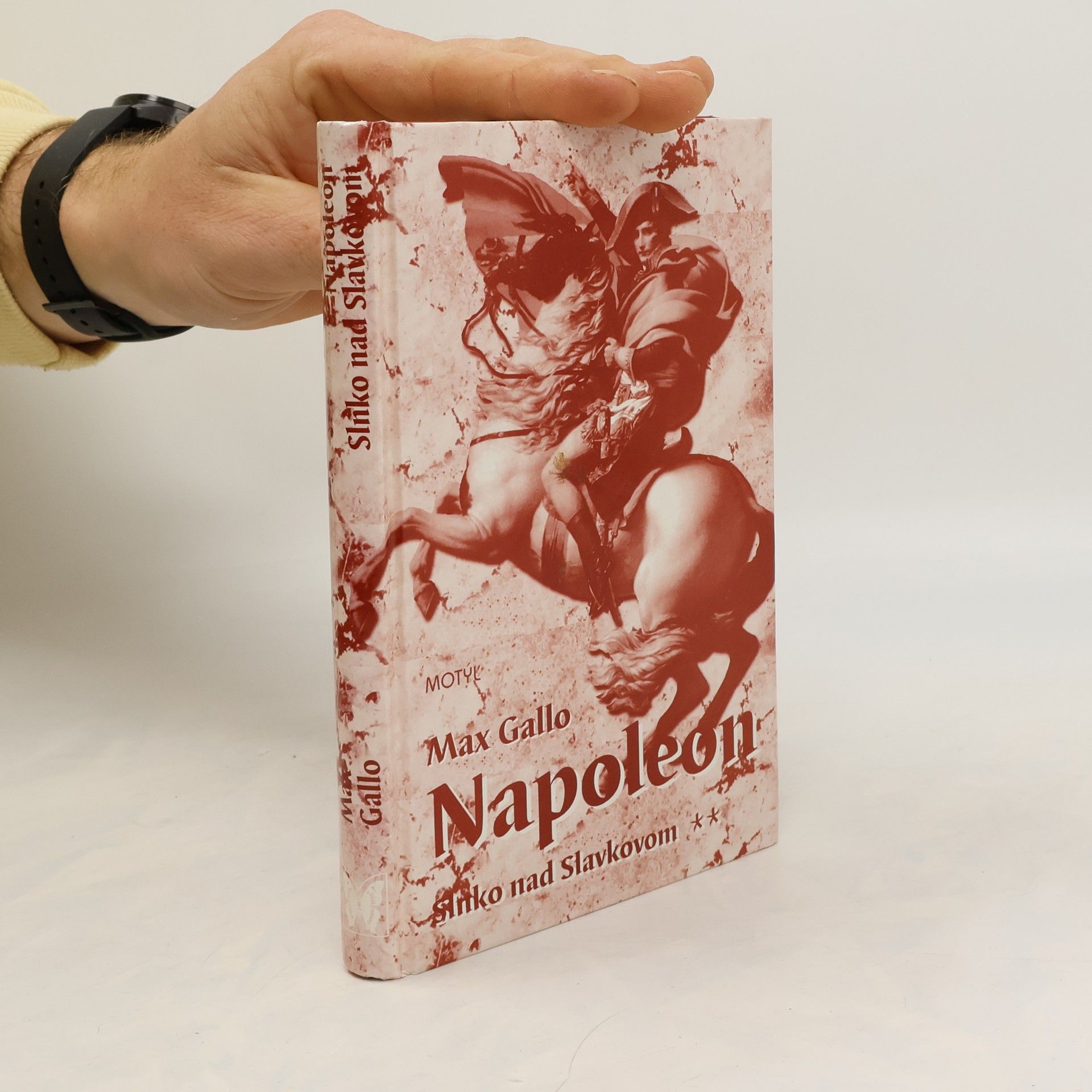 Max Gallo Napoleon: Slnko nad Slavkovom