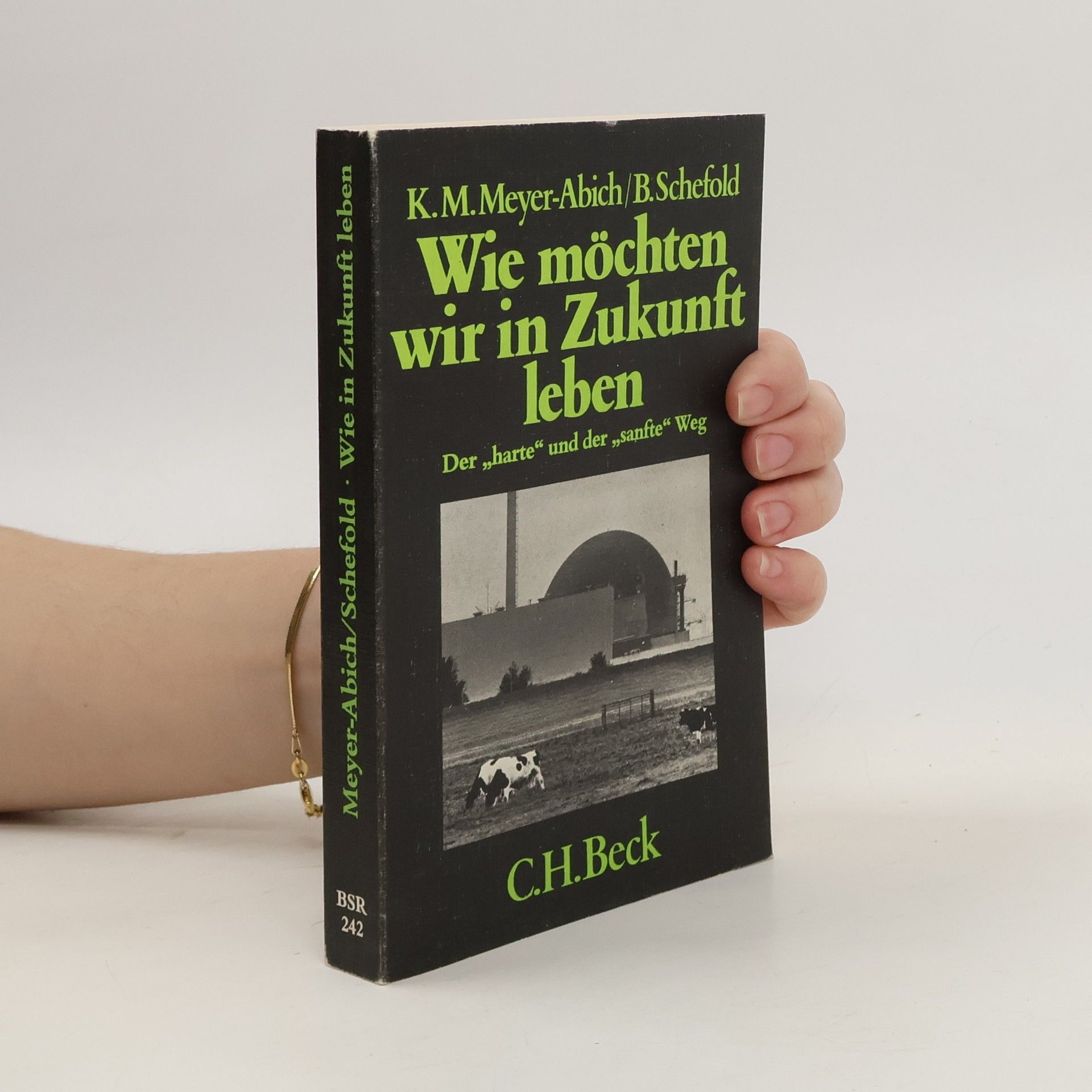 Klaus Michael Meyer Abich Wie möchten wir in Zukunft leben