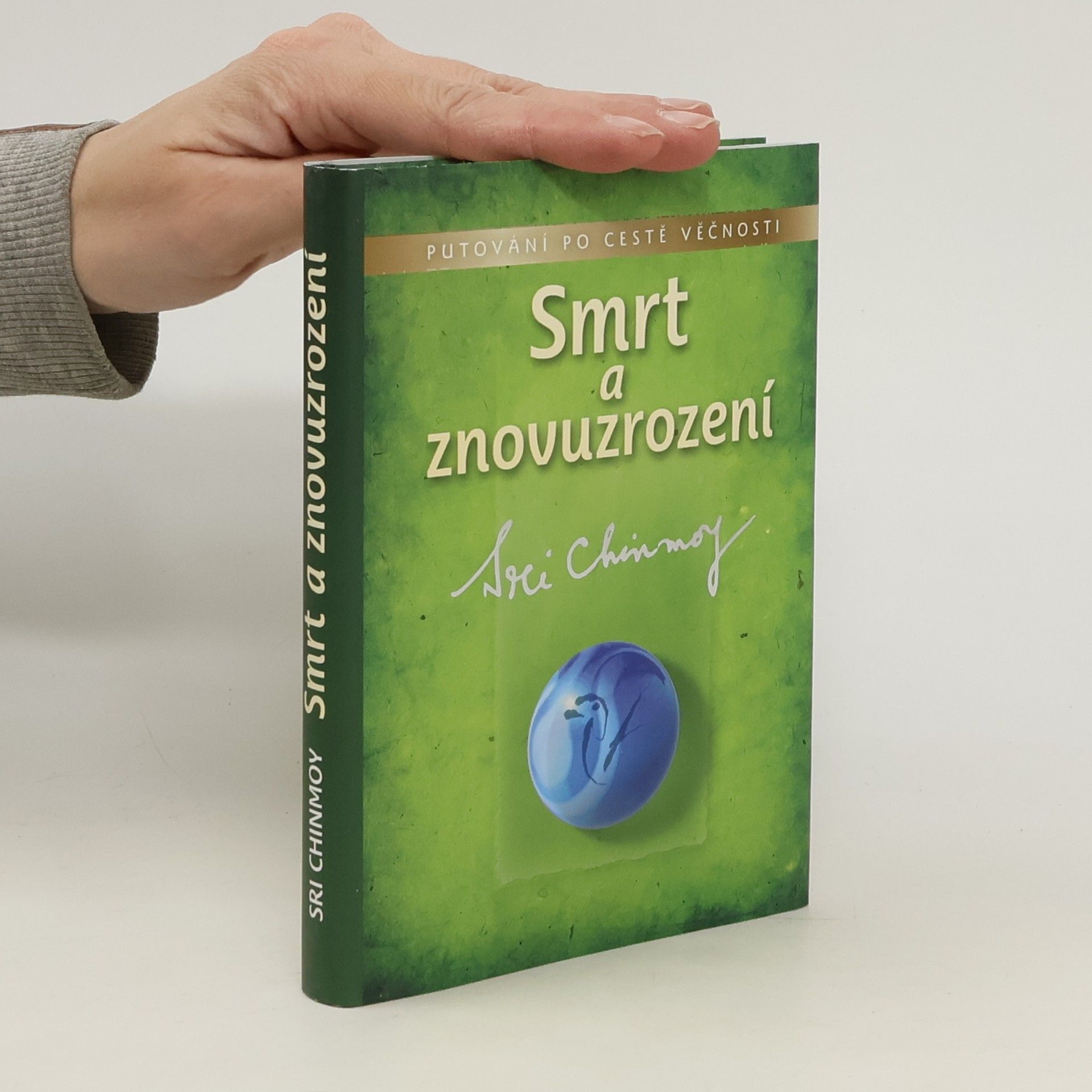 Chinmoy Smrt a znovuzrození: putování po cestě věčnosti