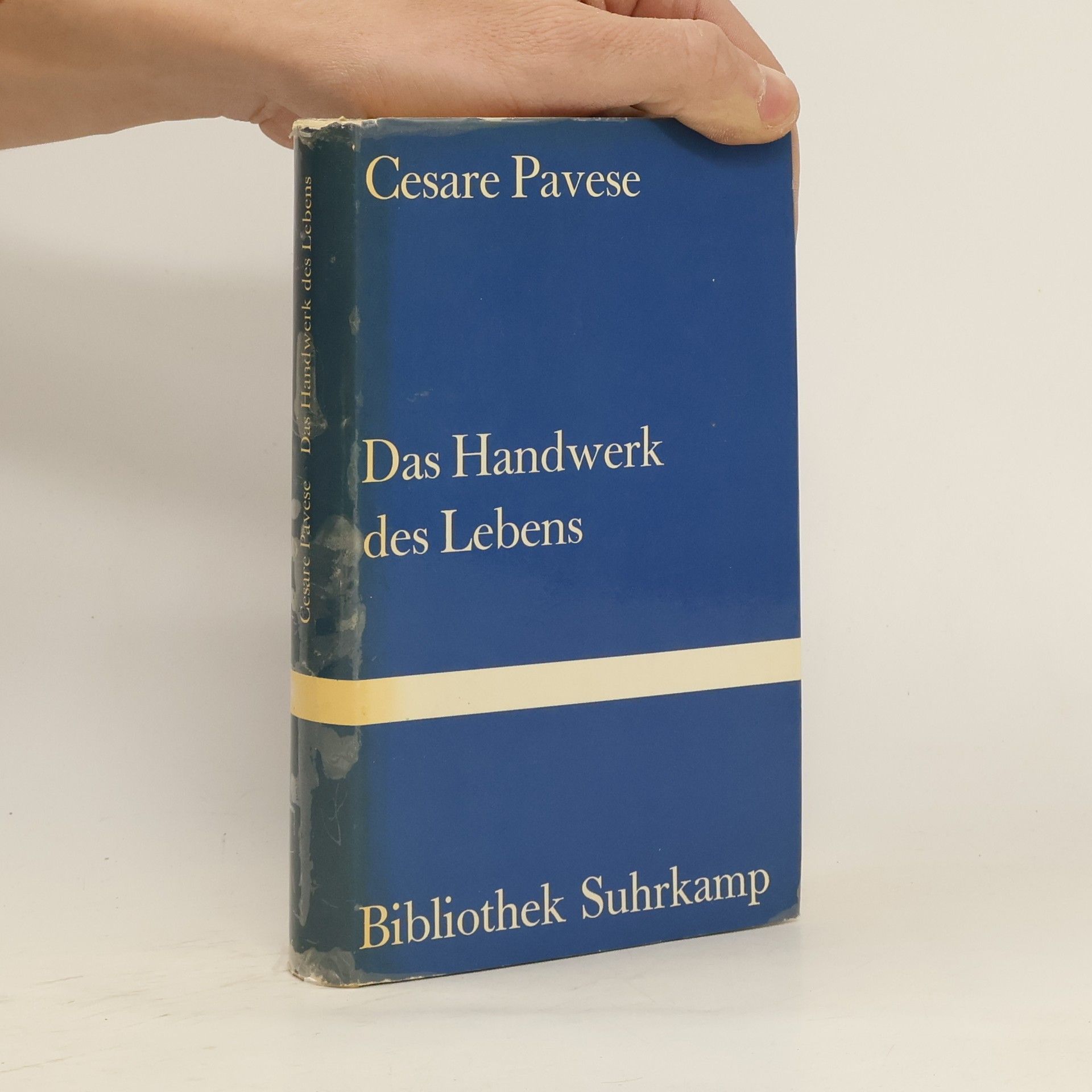 Cesare Pavese Das Handwerk des Lebens