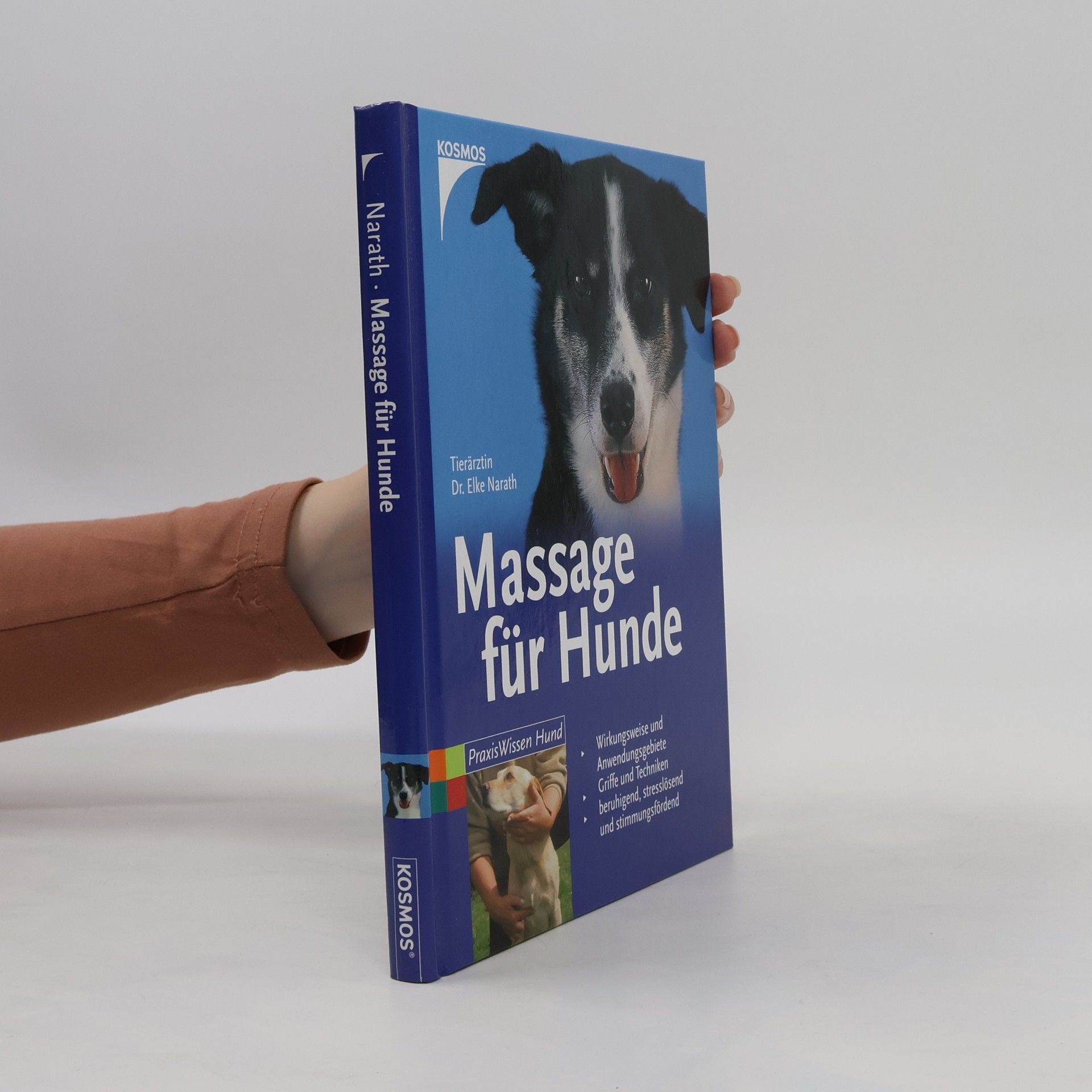 Elke Narath Massage für Hunde