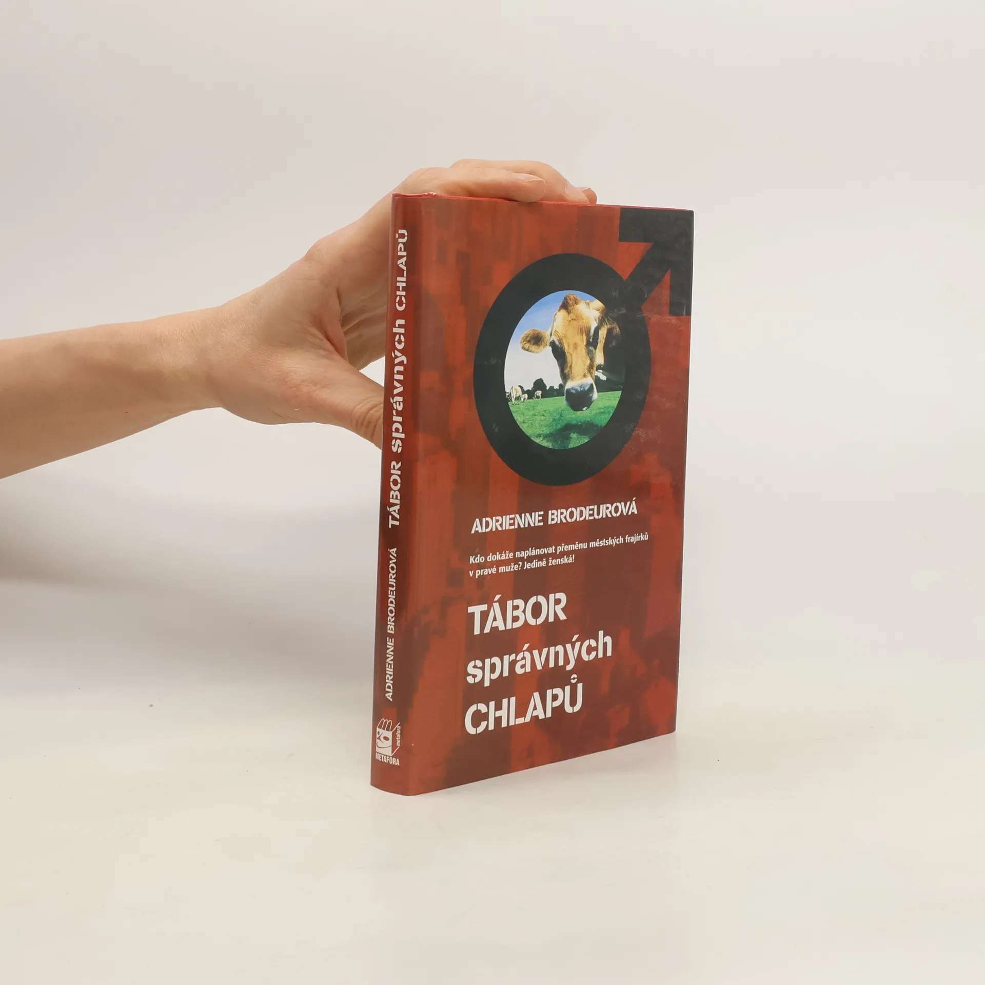 Tábor správných chlapů | Kniha | Adrienne Brodeur | CS