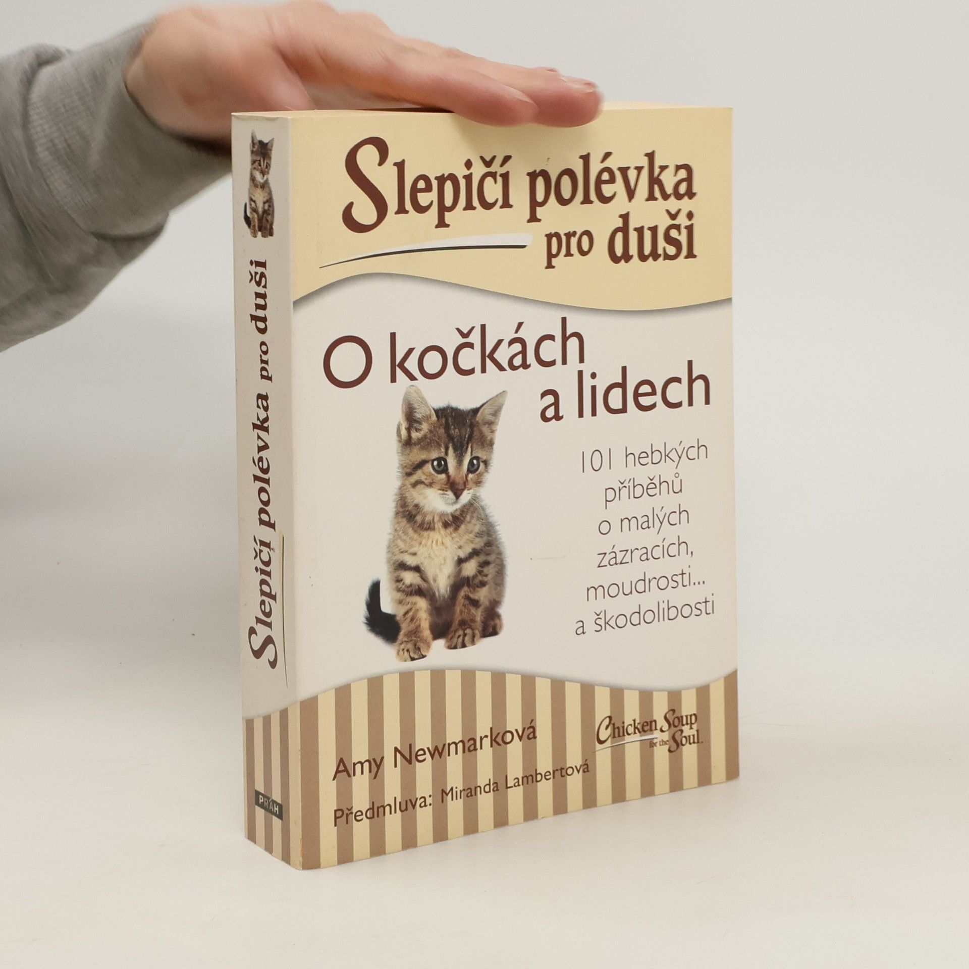 Amy Newmark Slepičí polévka pro duši