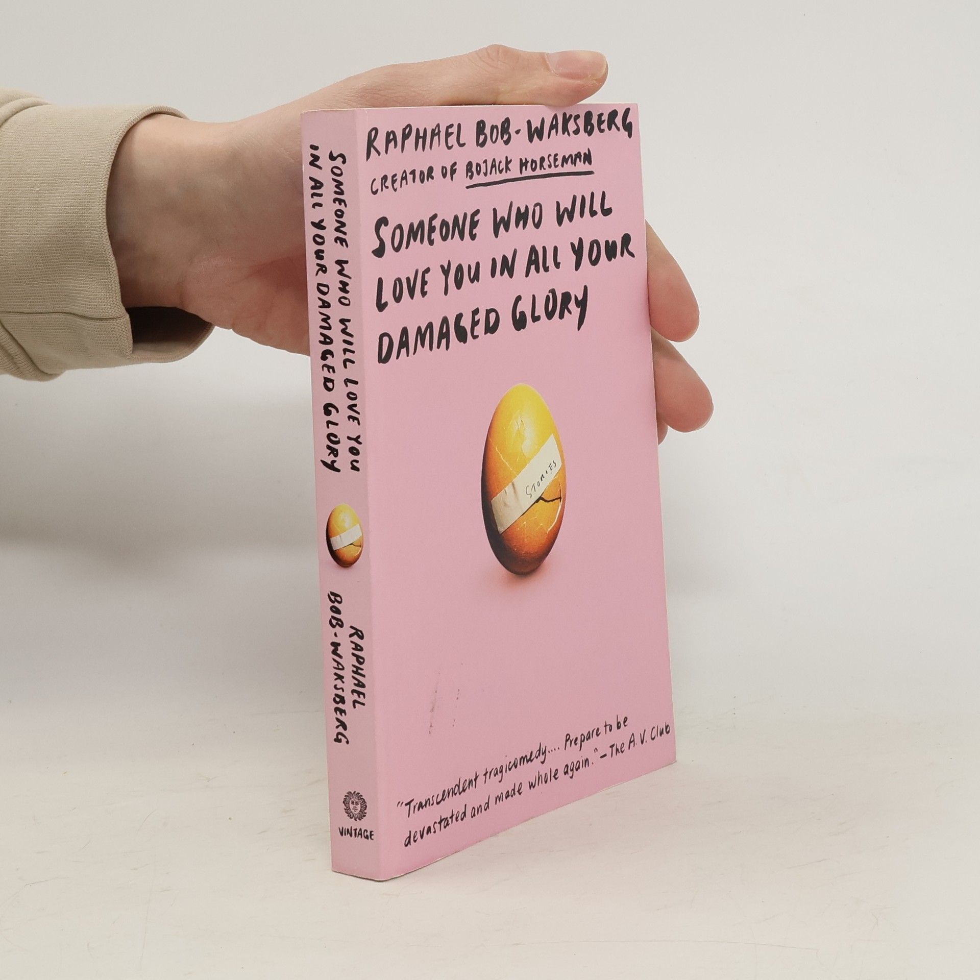 Raphael Bob Waksberg Someone Who Will Love You in All Your Damaged Glory