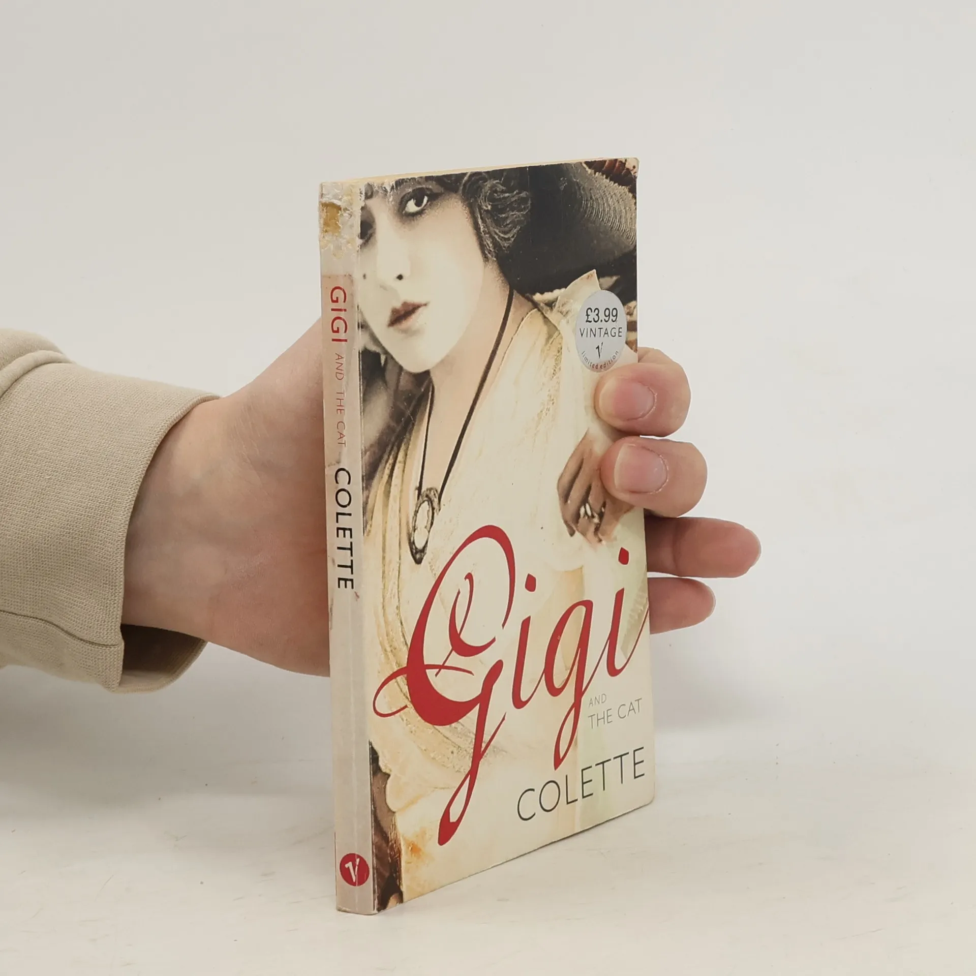 Gigi and the Cat | Book | Paperback | Collette | EN