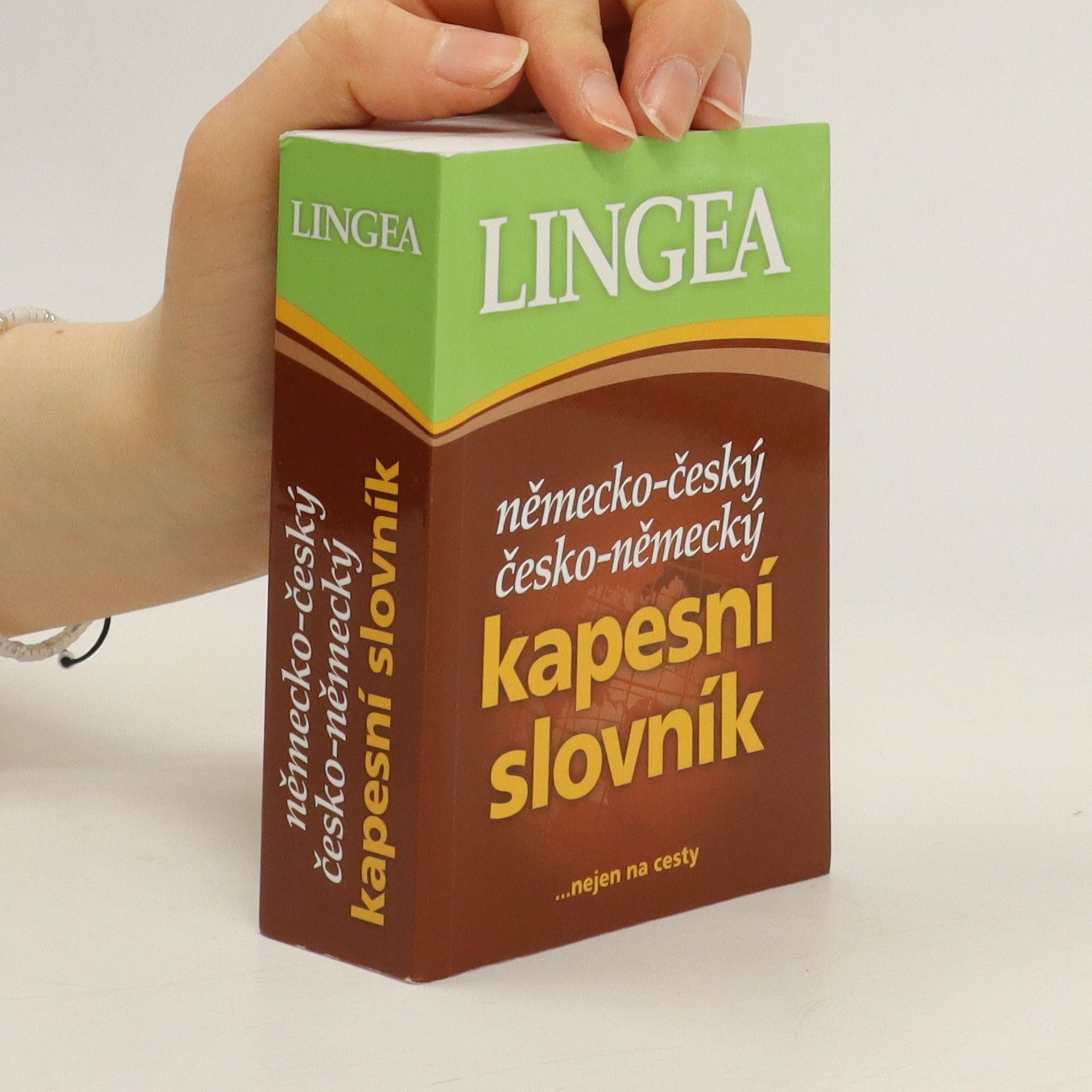 kolektiv Německo-český, česko-německý kapesní slovník