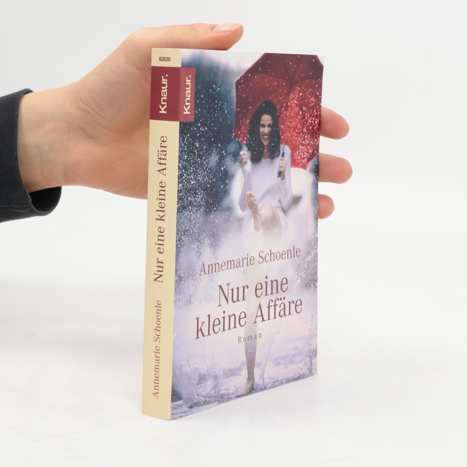 Annemarie Schoenle Nur eine kleine Affäre