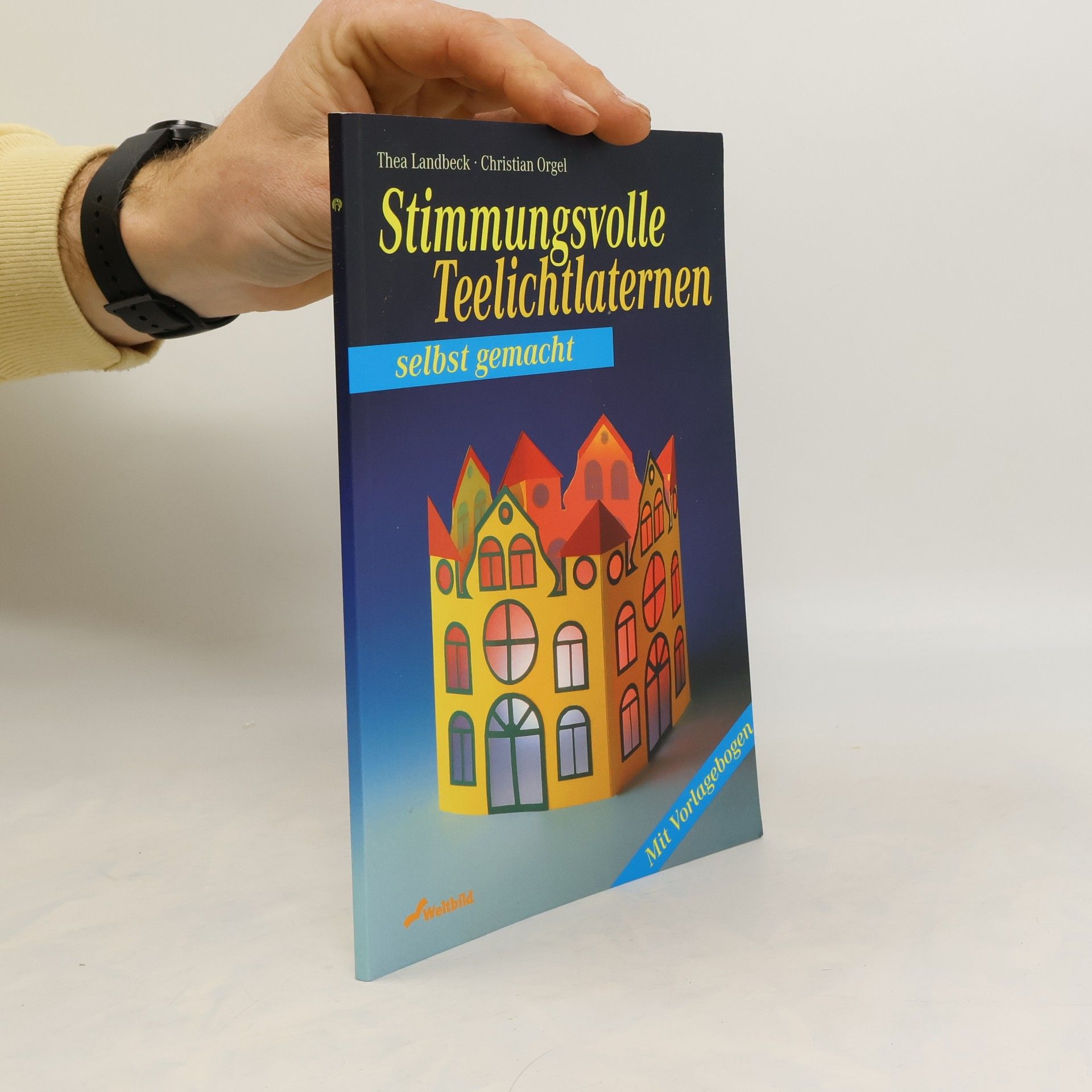 Auteurscollectief Stimmungsvolle Teelichtlaternen selbst gemacht