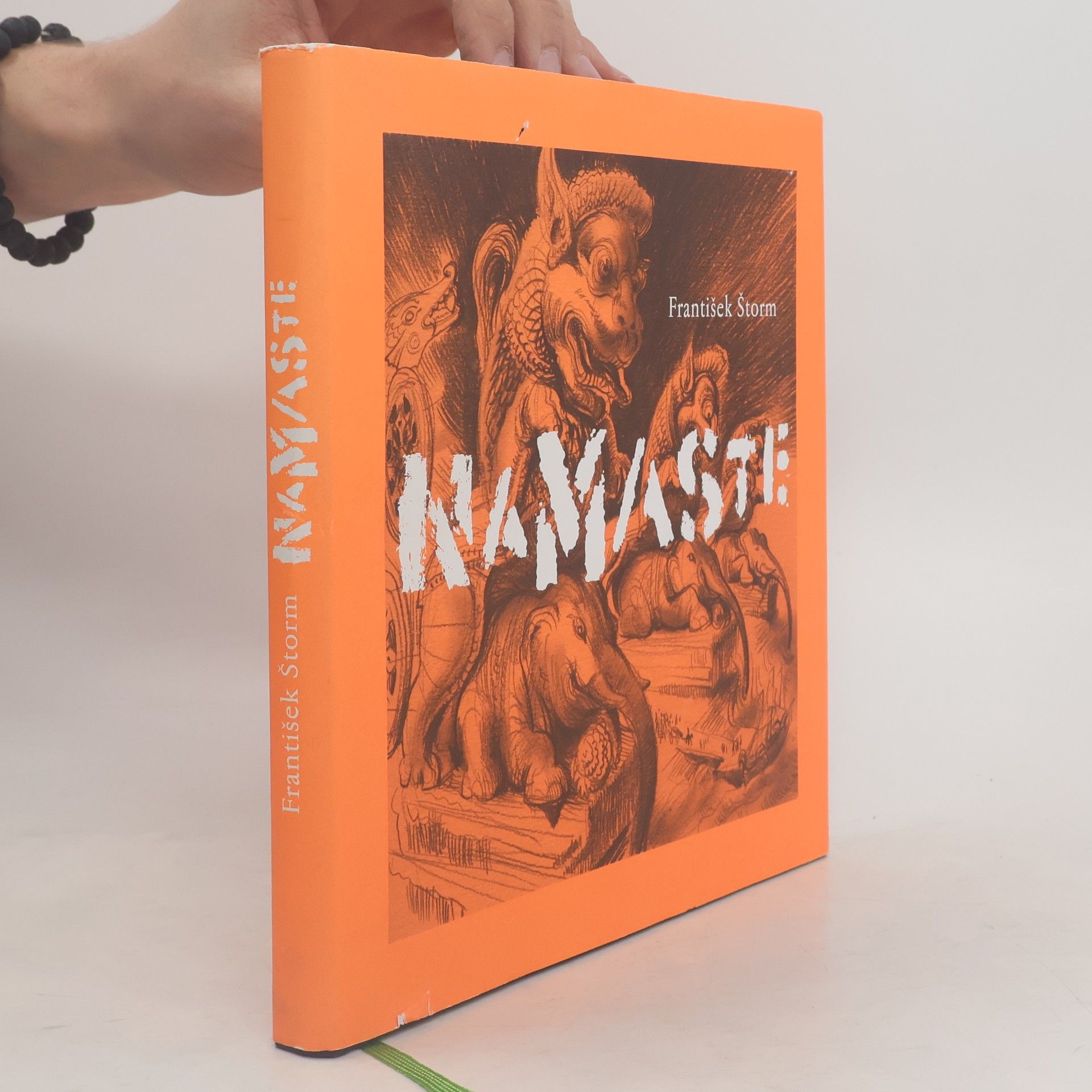 František Štorm Namaste