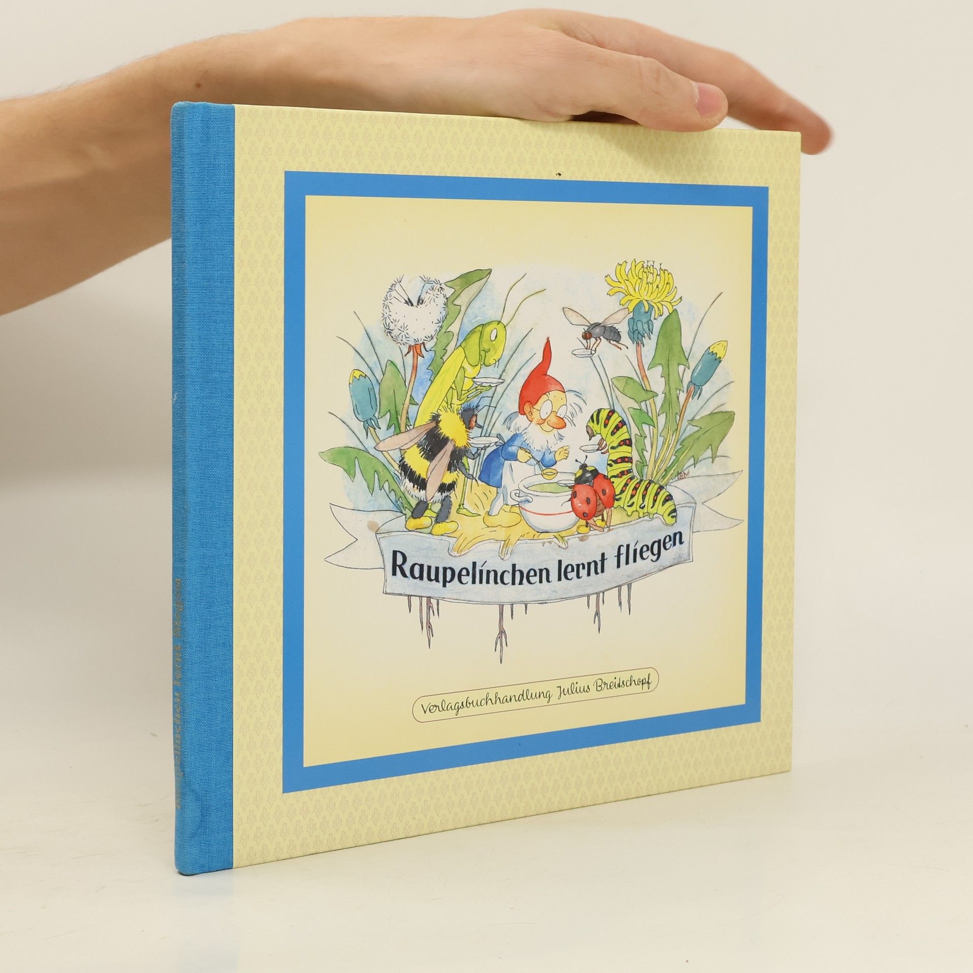 Autorenkollektiv Raupelínchen lernt fliegen