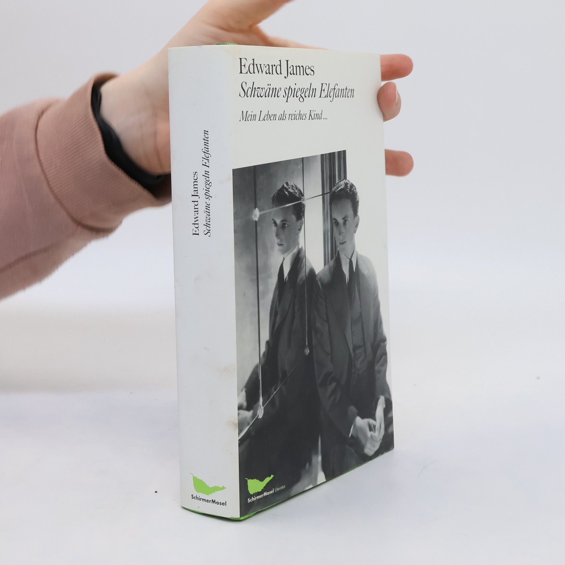 Edward Frank Willis James Schwäne spiegeln Elefanten