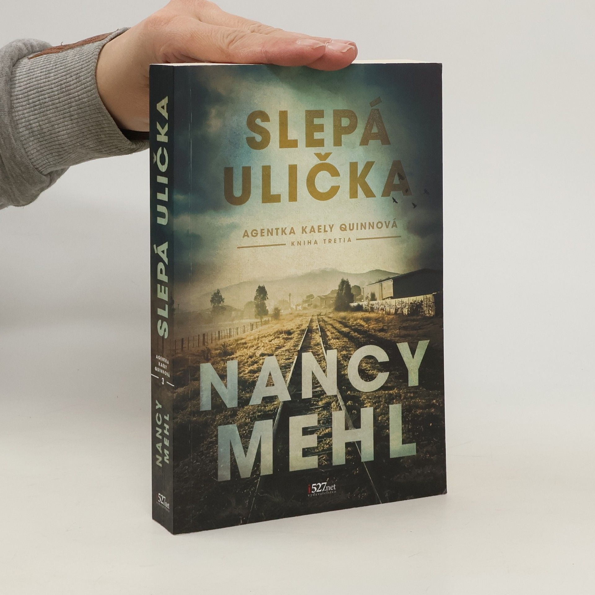 Nancy Mehl Slepá ulička