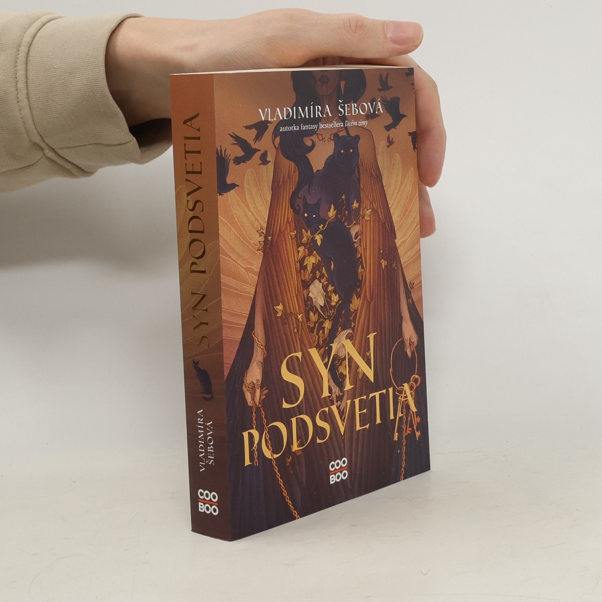 Vladimíra Šebová Syn podsvetia
