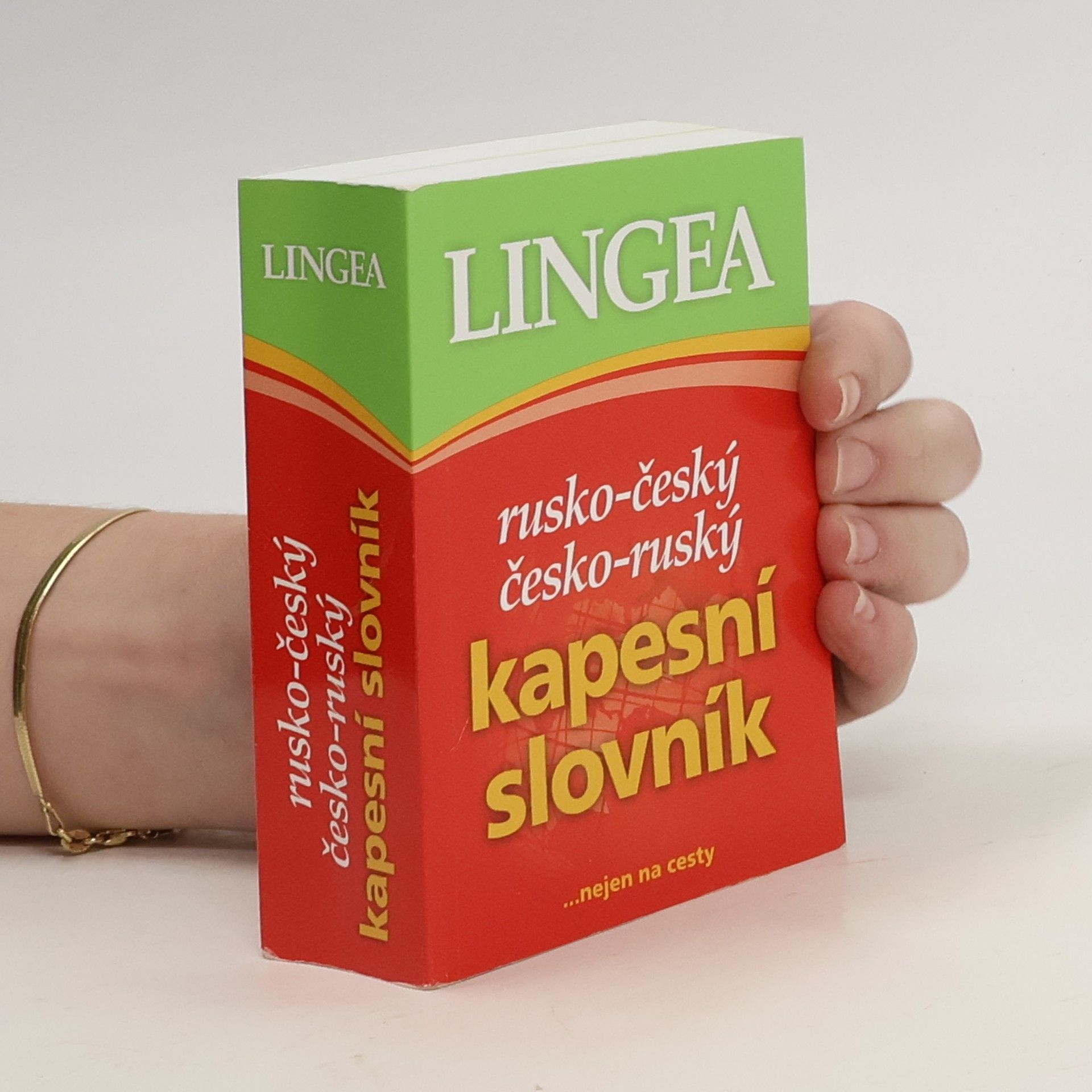 Autorenkollektiv Rusko-český, česko-ruský kapesní slovník ...nejen na cesty