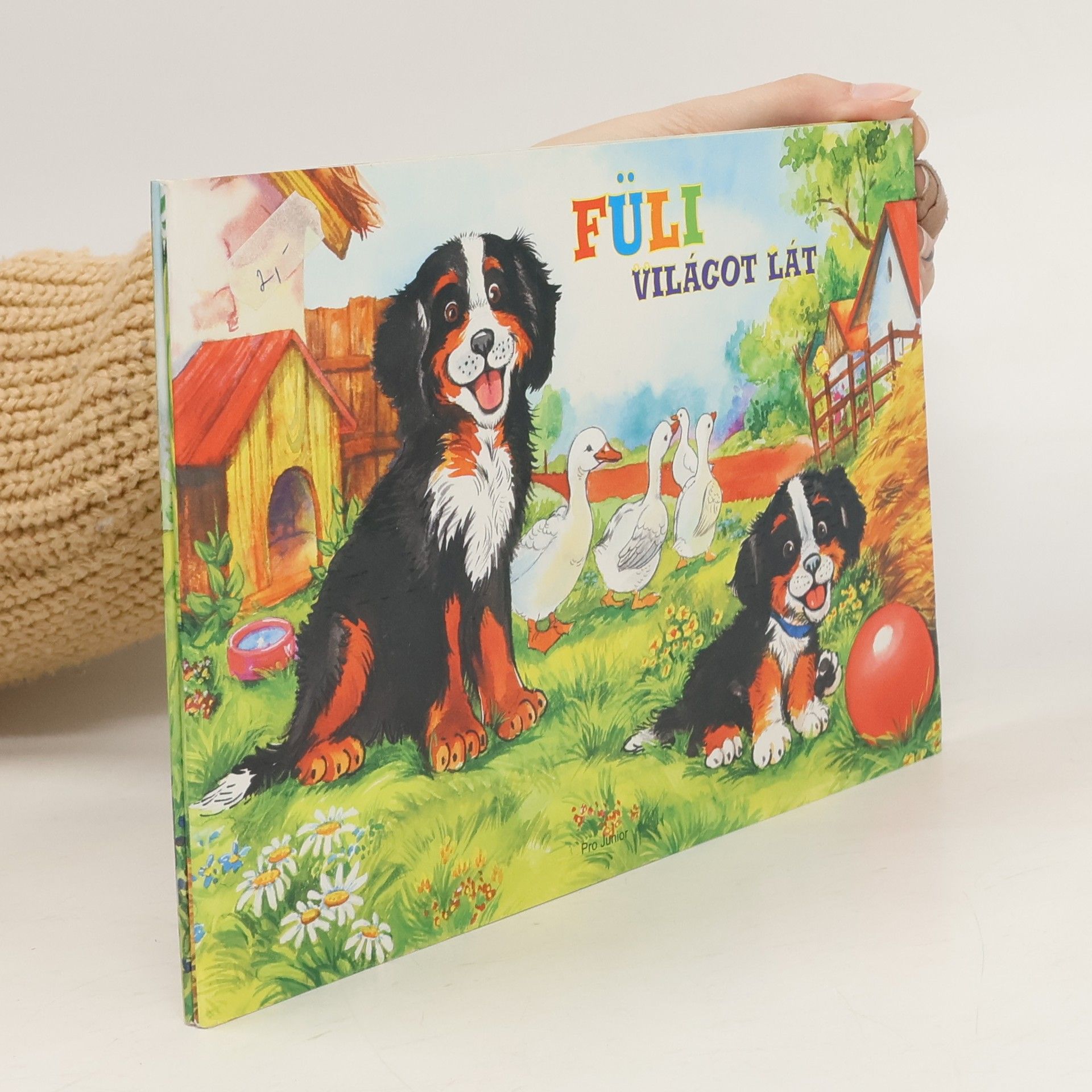 AA.VV. Füli világot lát