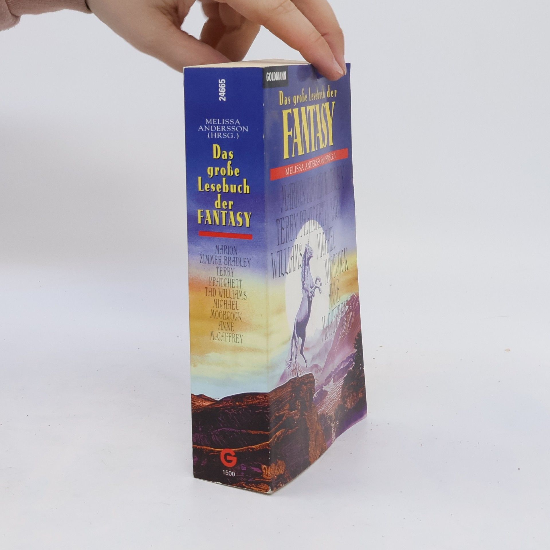 AA.VV. Das grosse Lesebuch der Fantasy