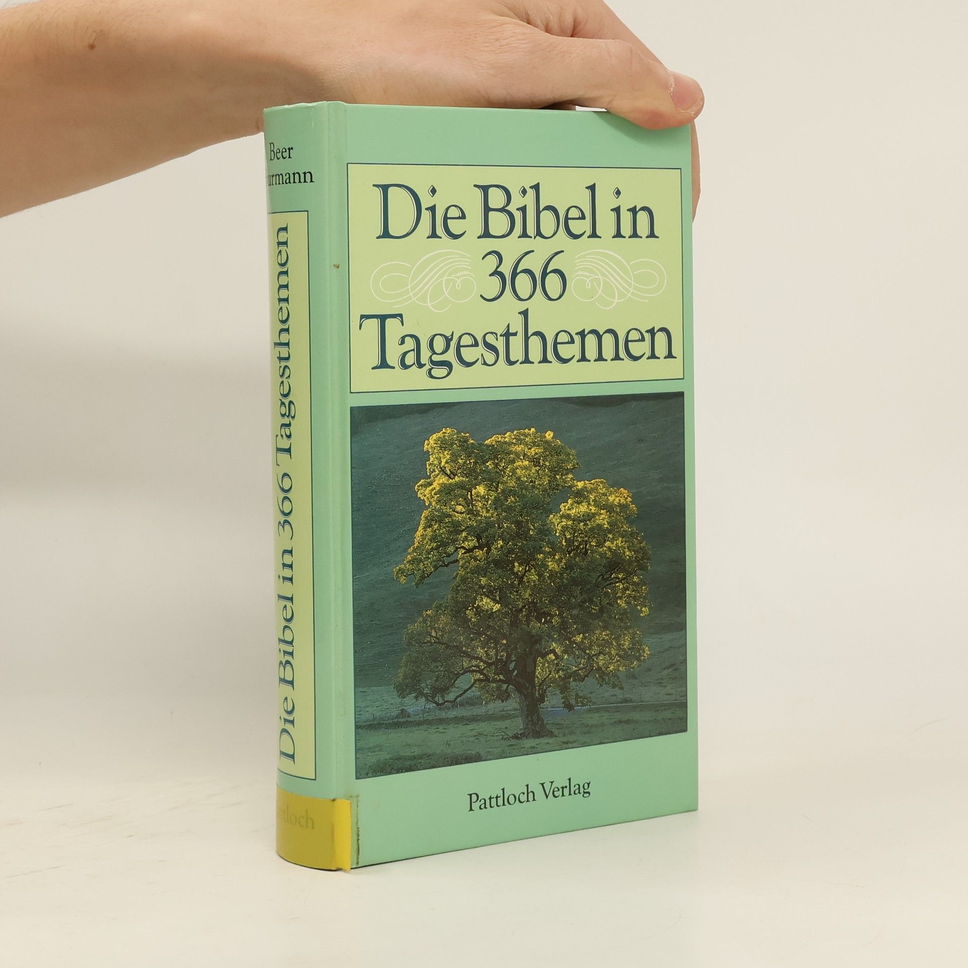 Ulrich Beer Die Bibel in 366 Tagesthemen (Pattloch)