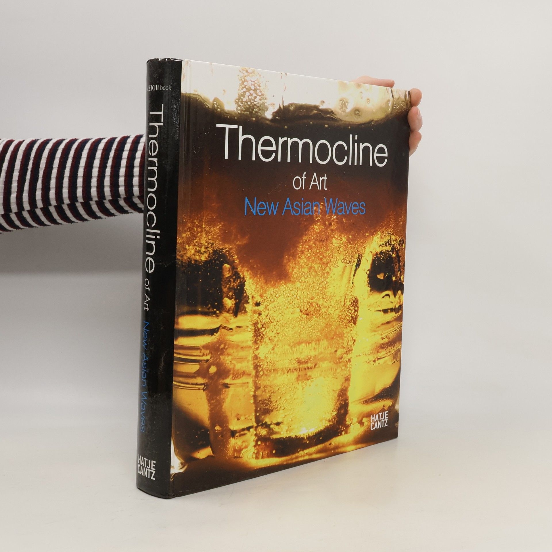 Wonil Rhee Thermocline of Art