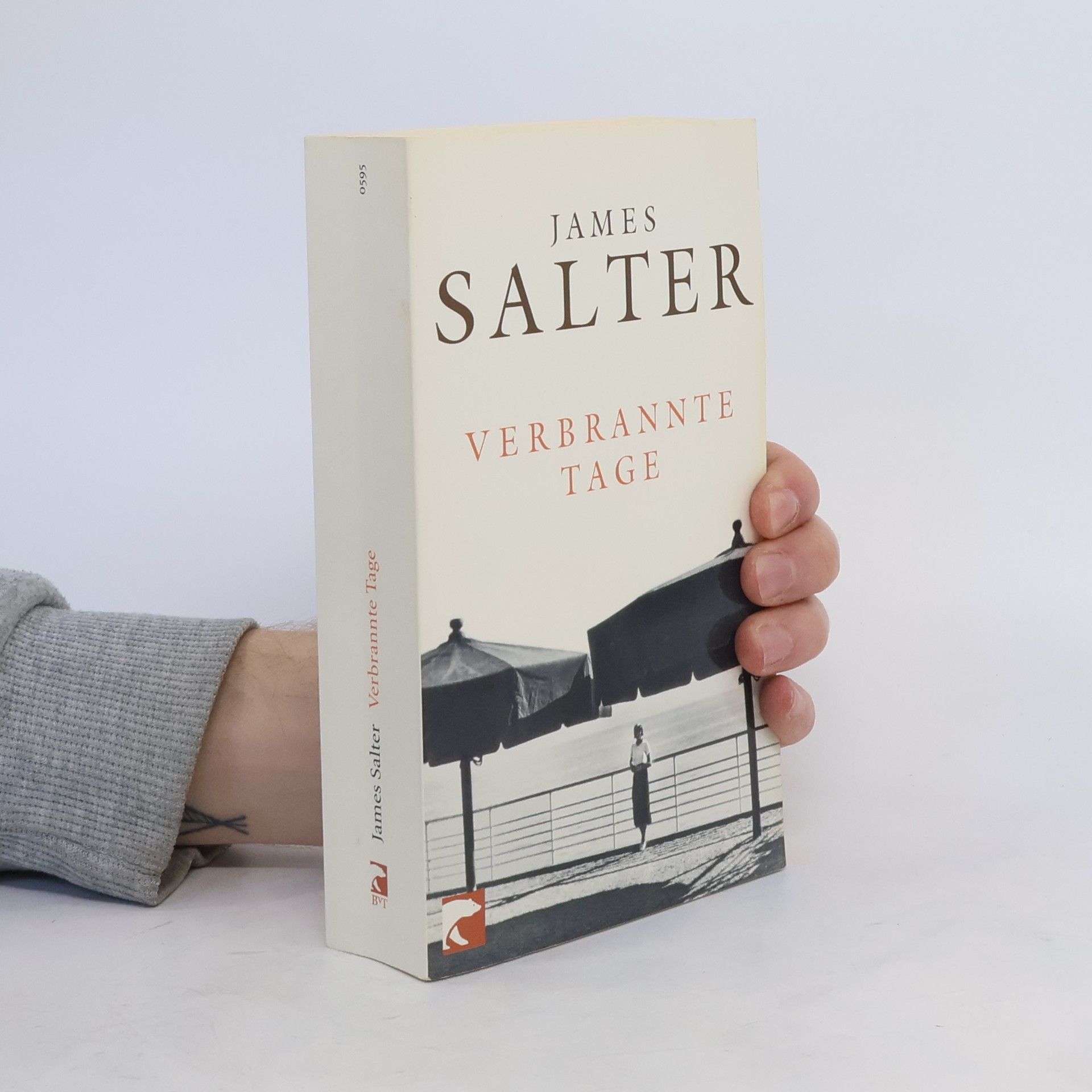 James Salter Verbrannte Tage
