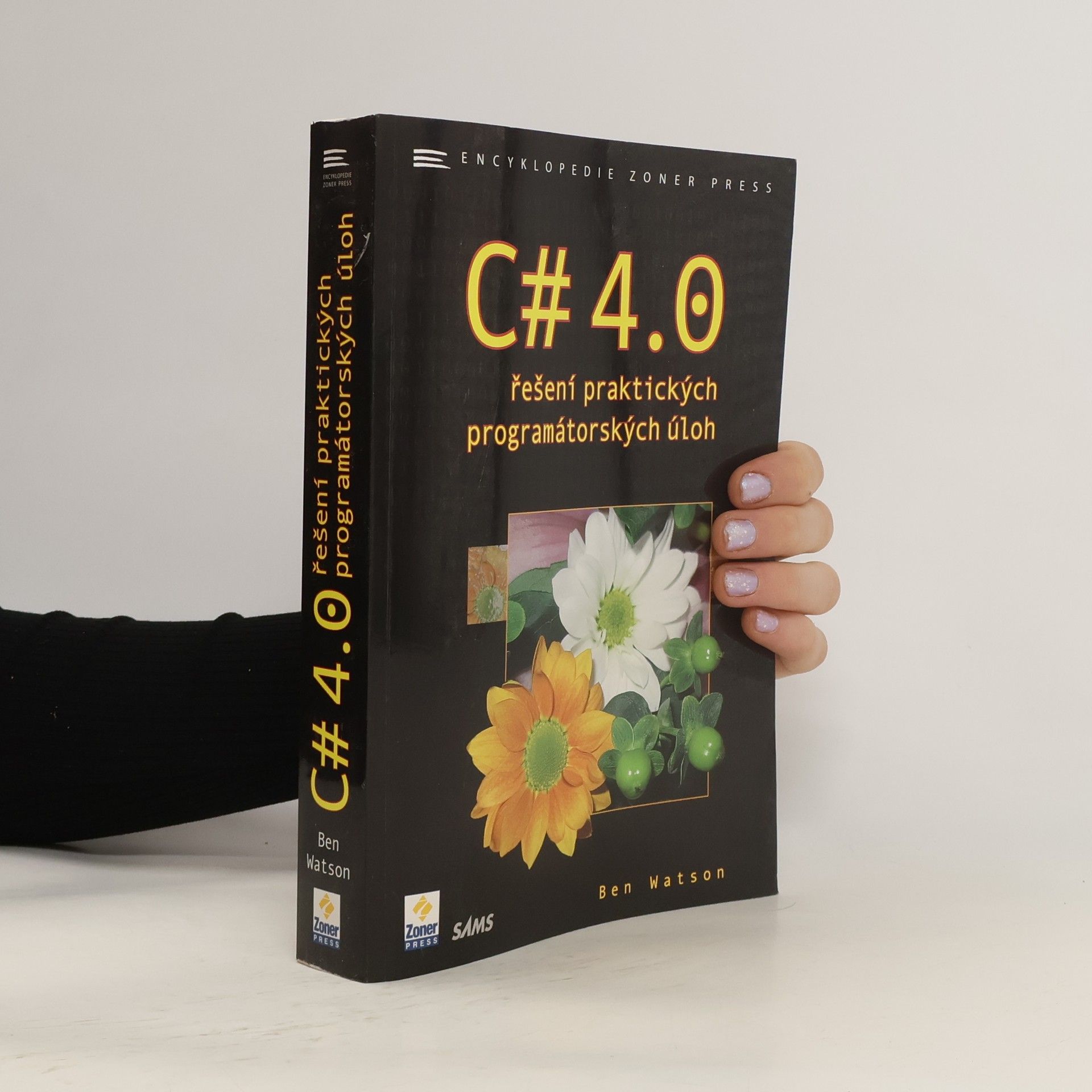 Benjamin Watson C# 4.0 - řešení praktických programátorských úloh