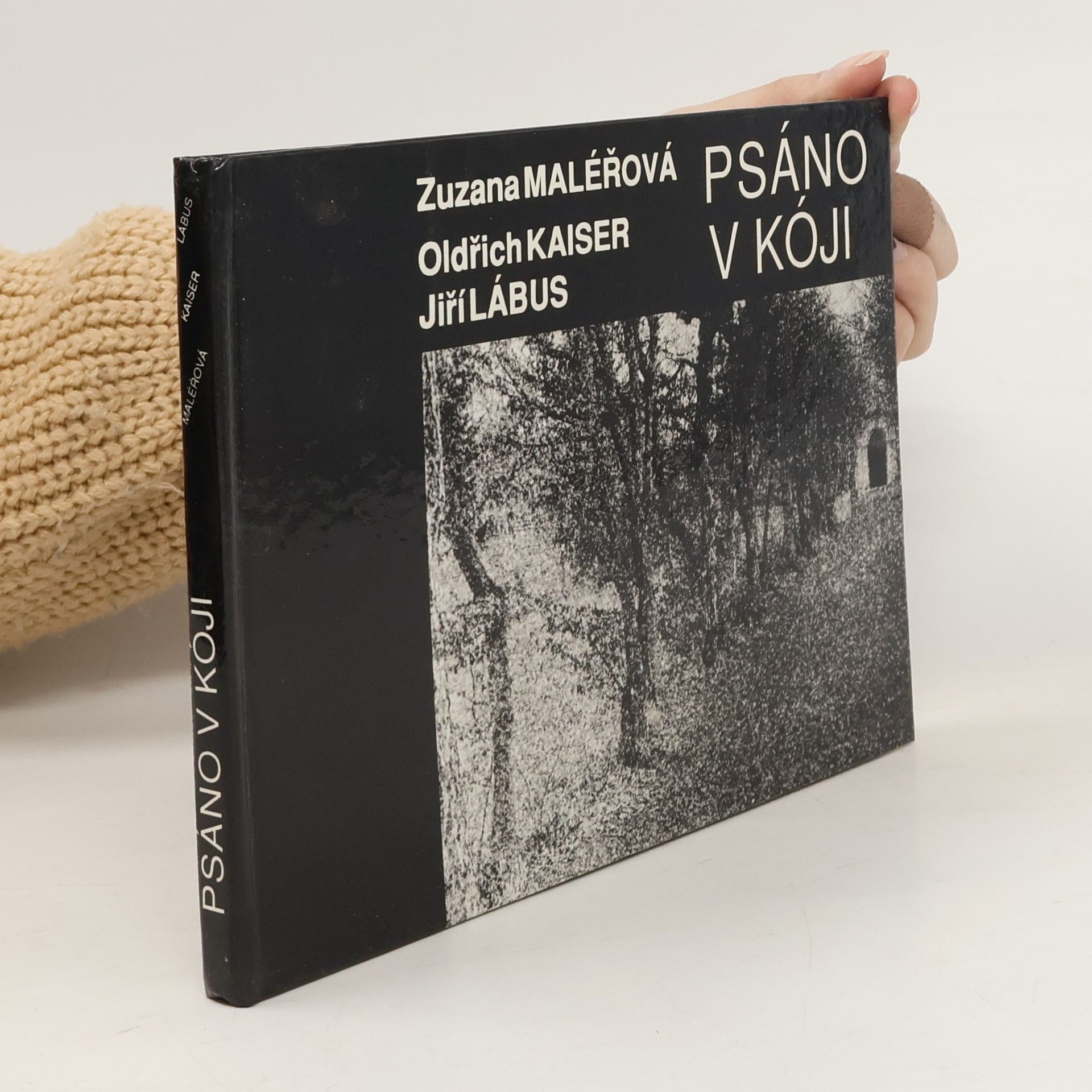 Zuzana Maléřová Psáno v kóji