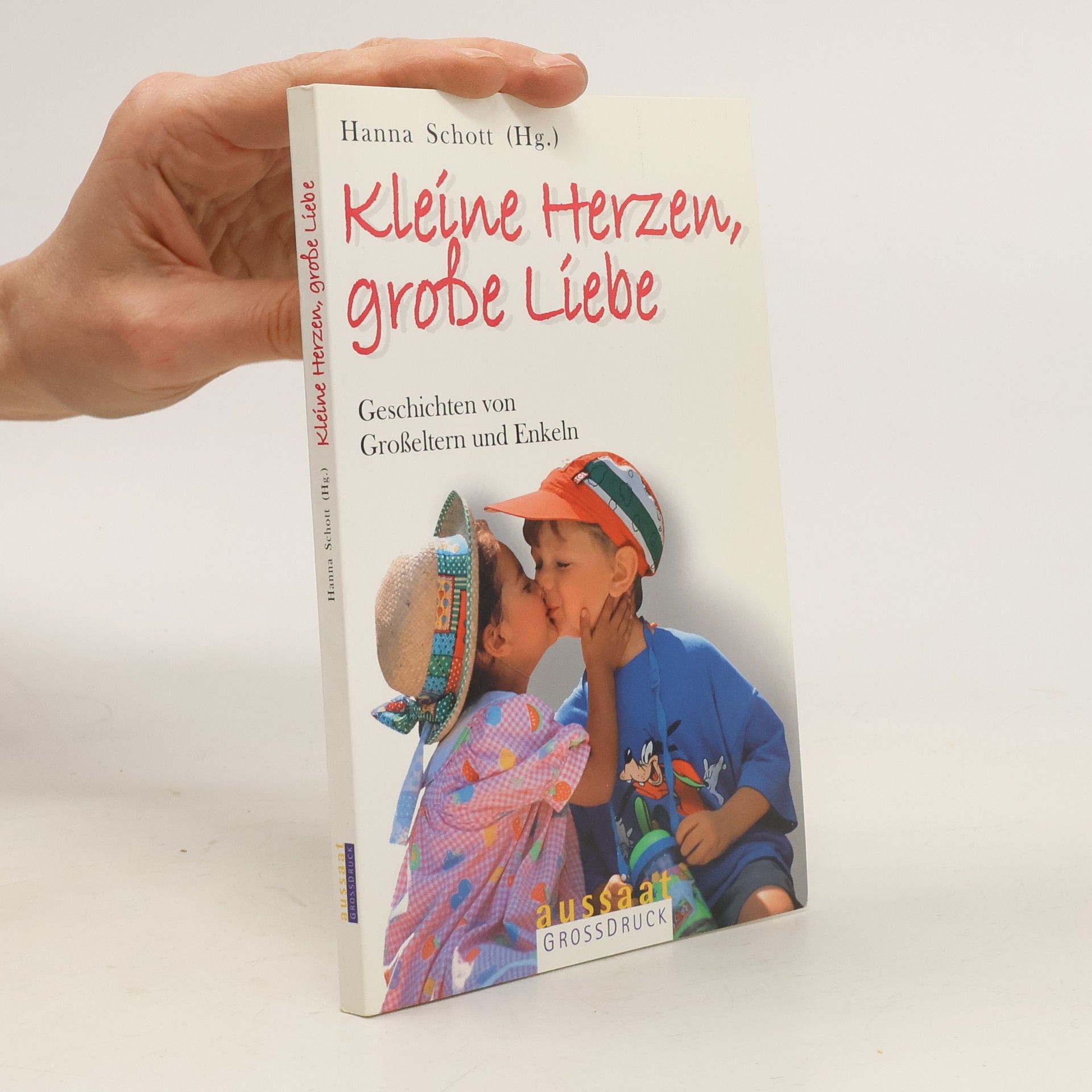 Hanna Schott Kleine Herzen, große Liebe