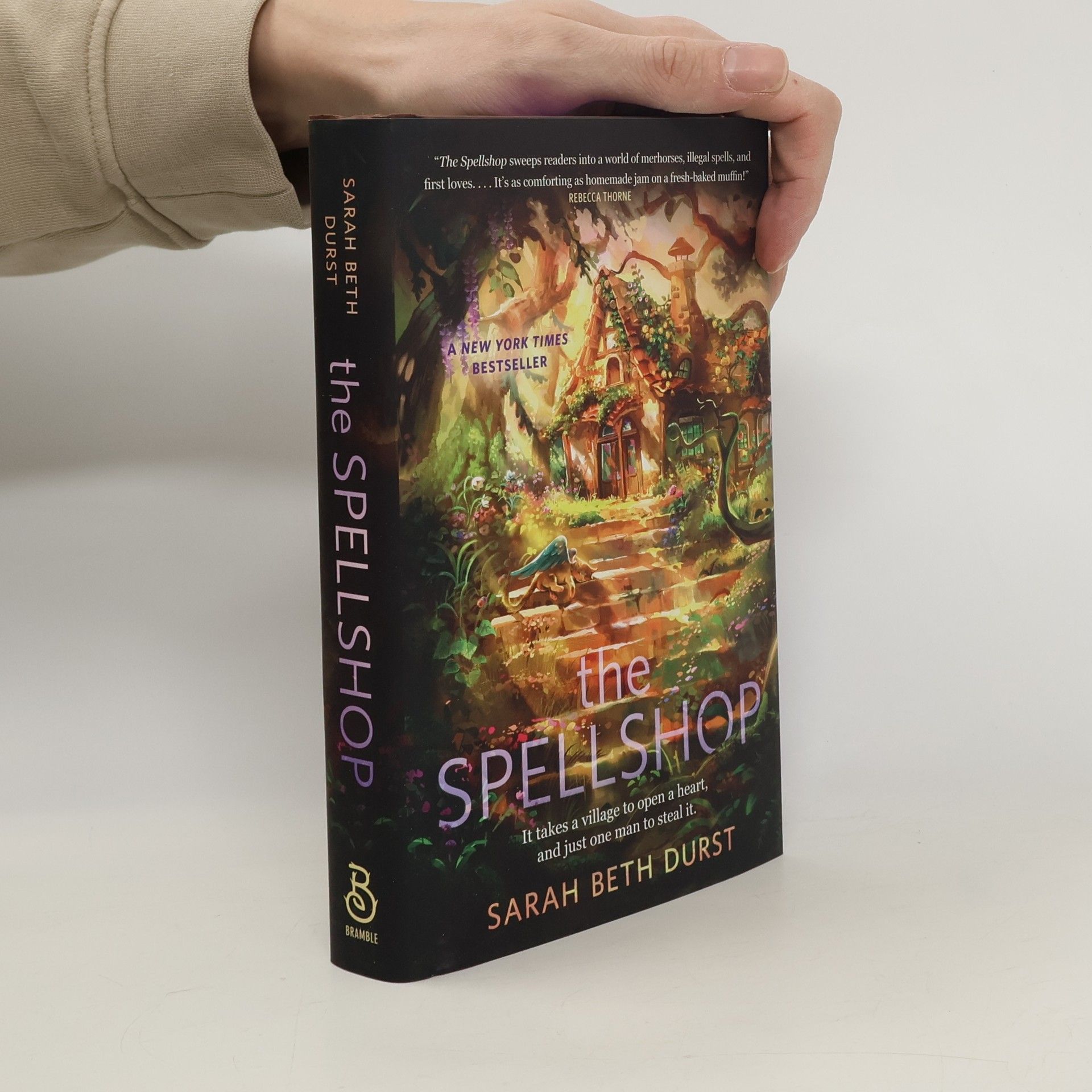 Sarah Beth Durst The Spellshop. Special Edition