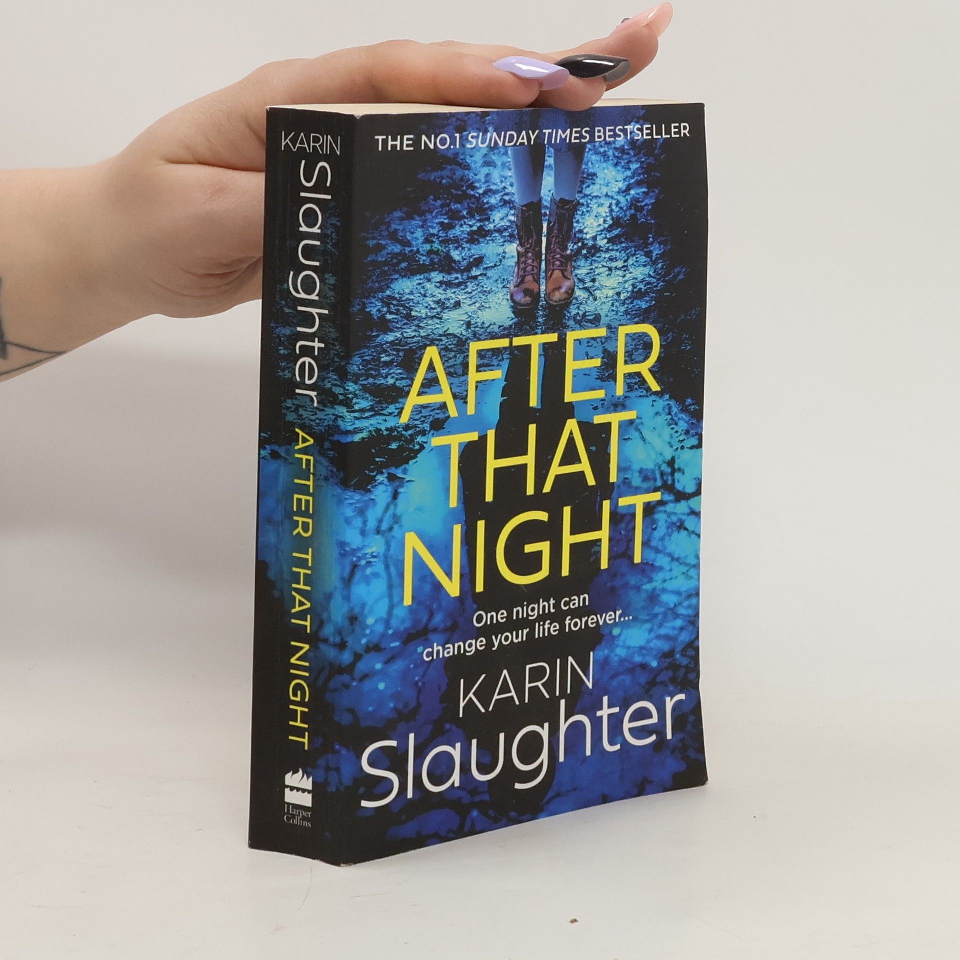 Karin Slaughter After That Night