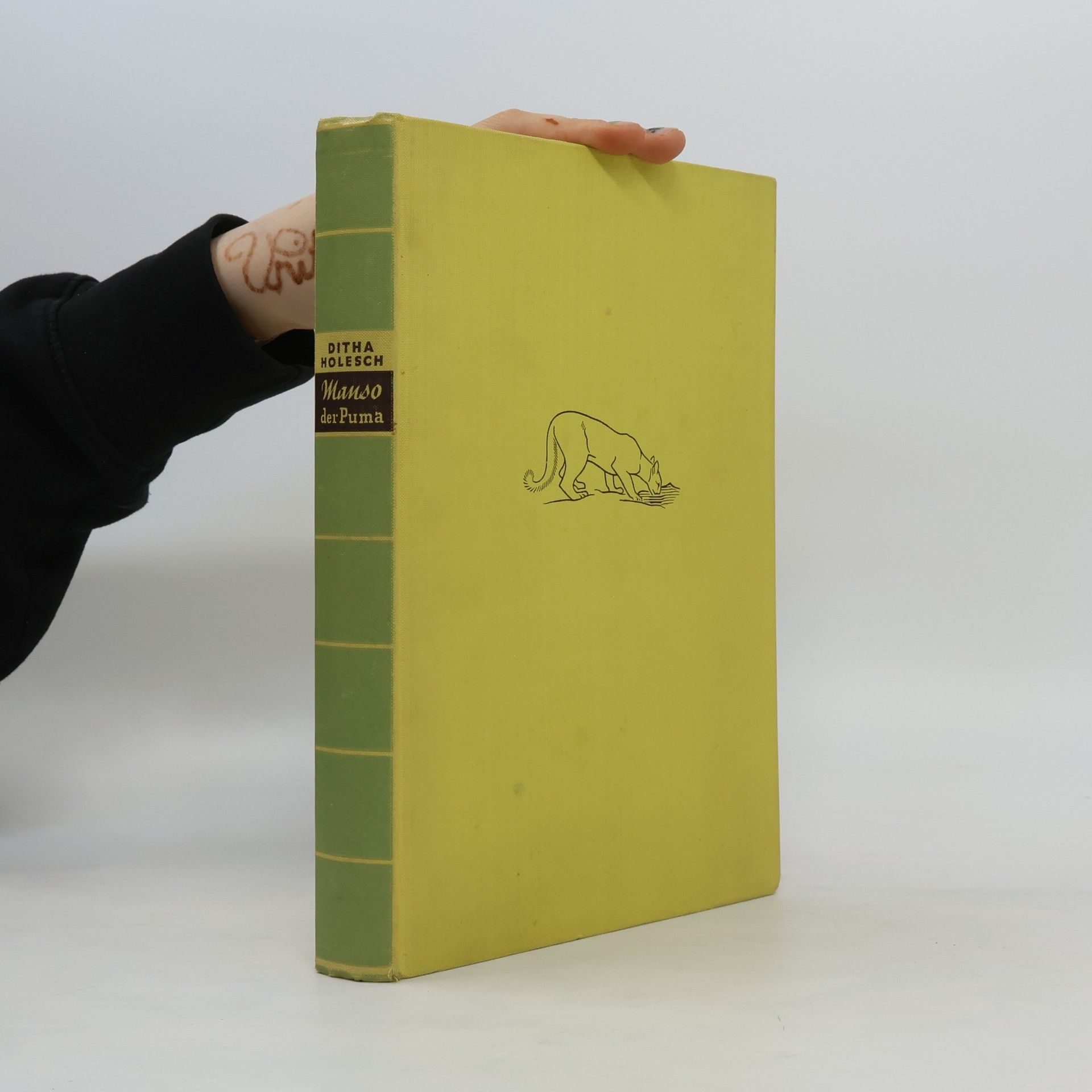 Ditha Holesch Manso, der Puma