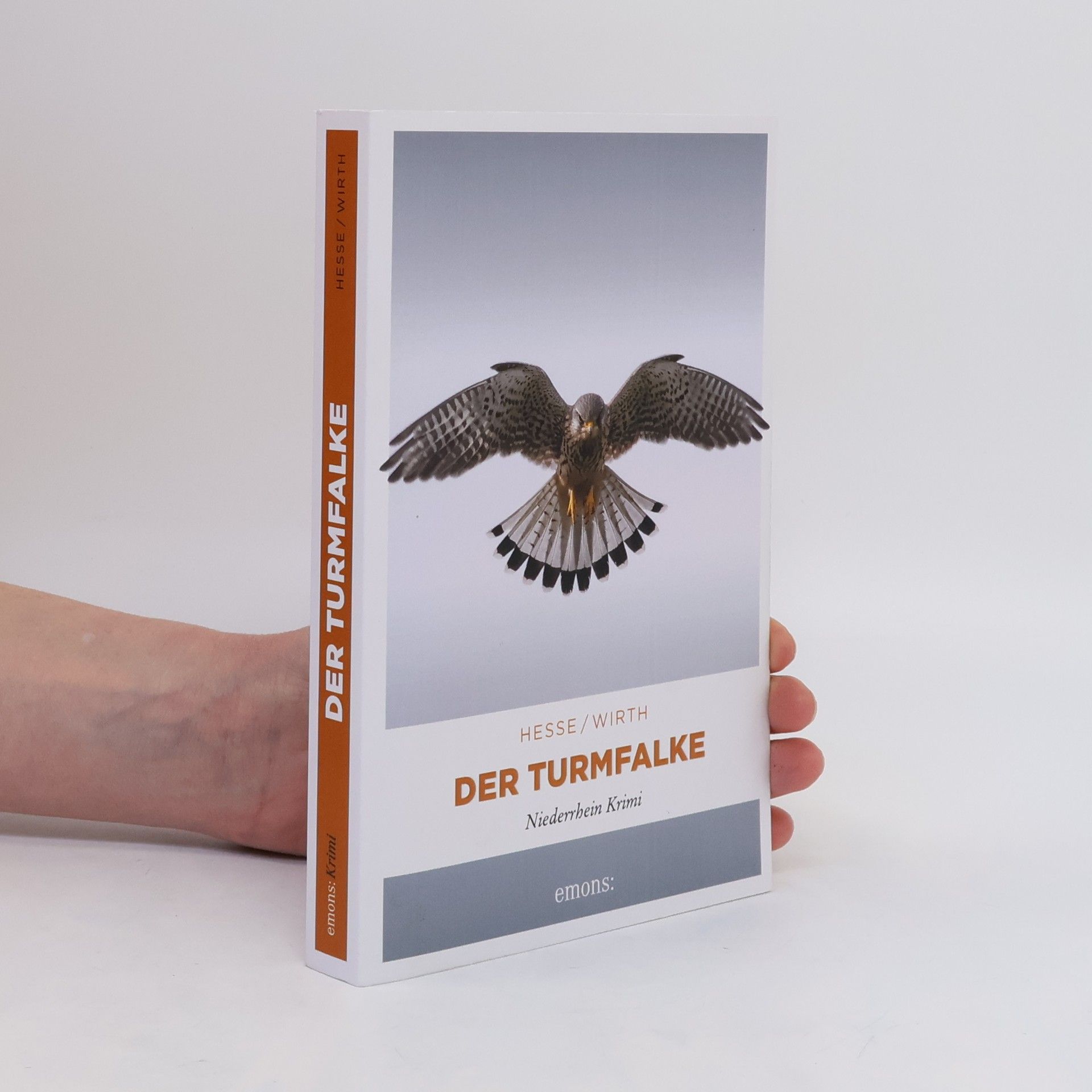 Thomas Hesse Der Turmfalke