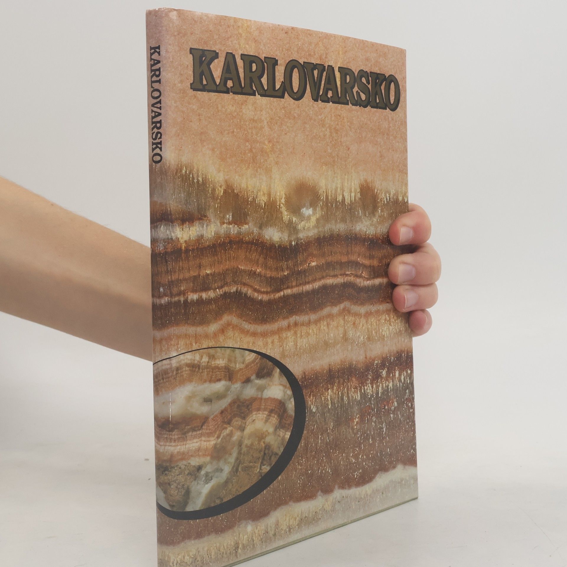 kolektiv Karlovarsko
