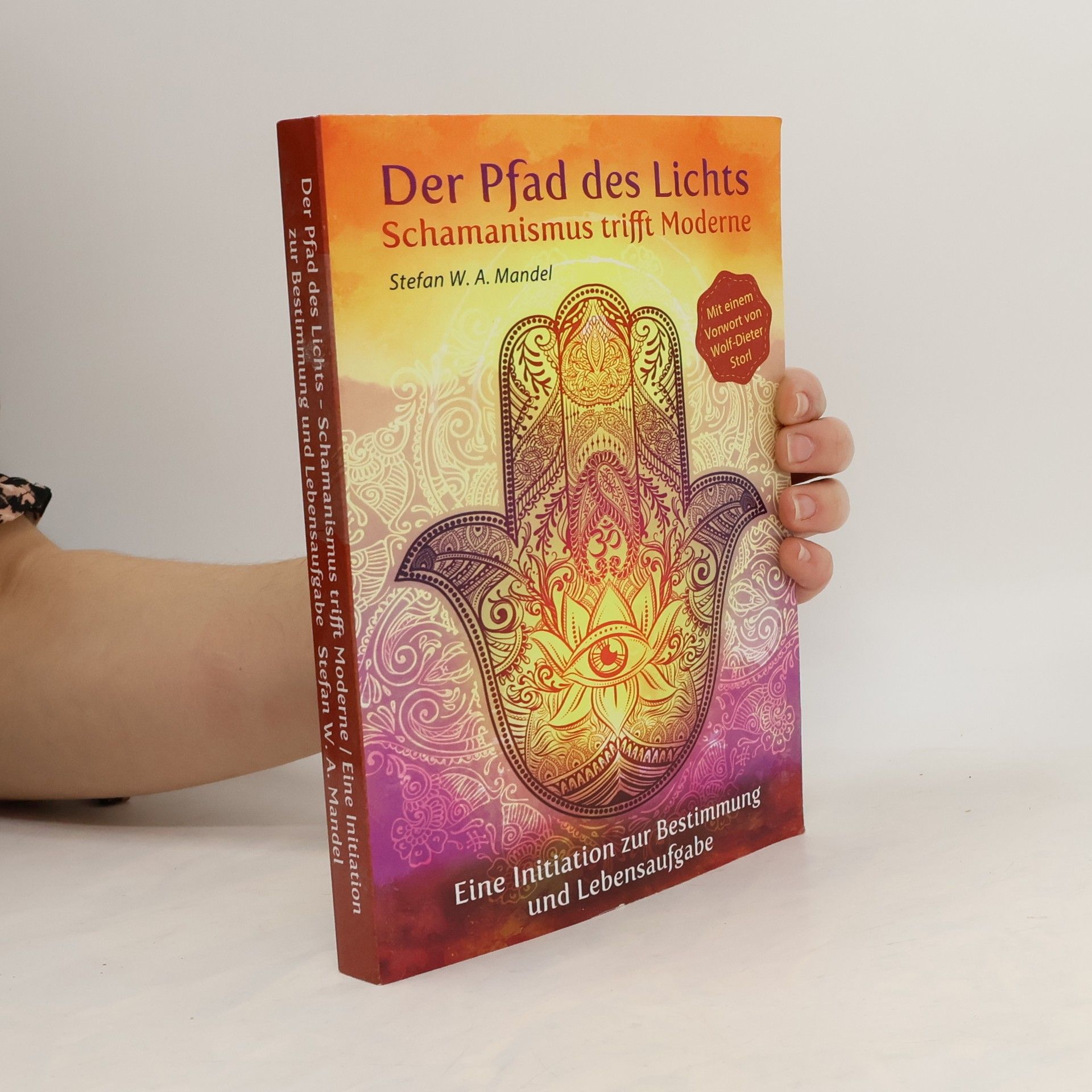 Stefan W. A. Mandel Der Pfad des Lichts - Schamanismus trifft Moderne