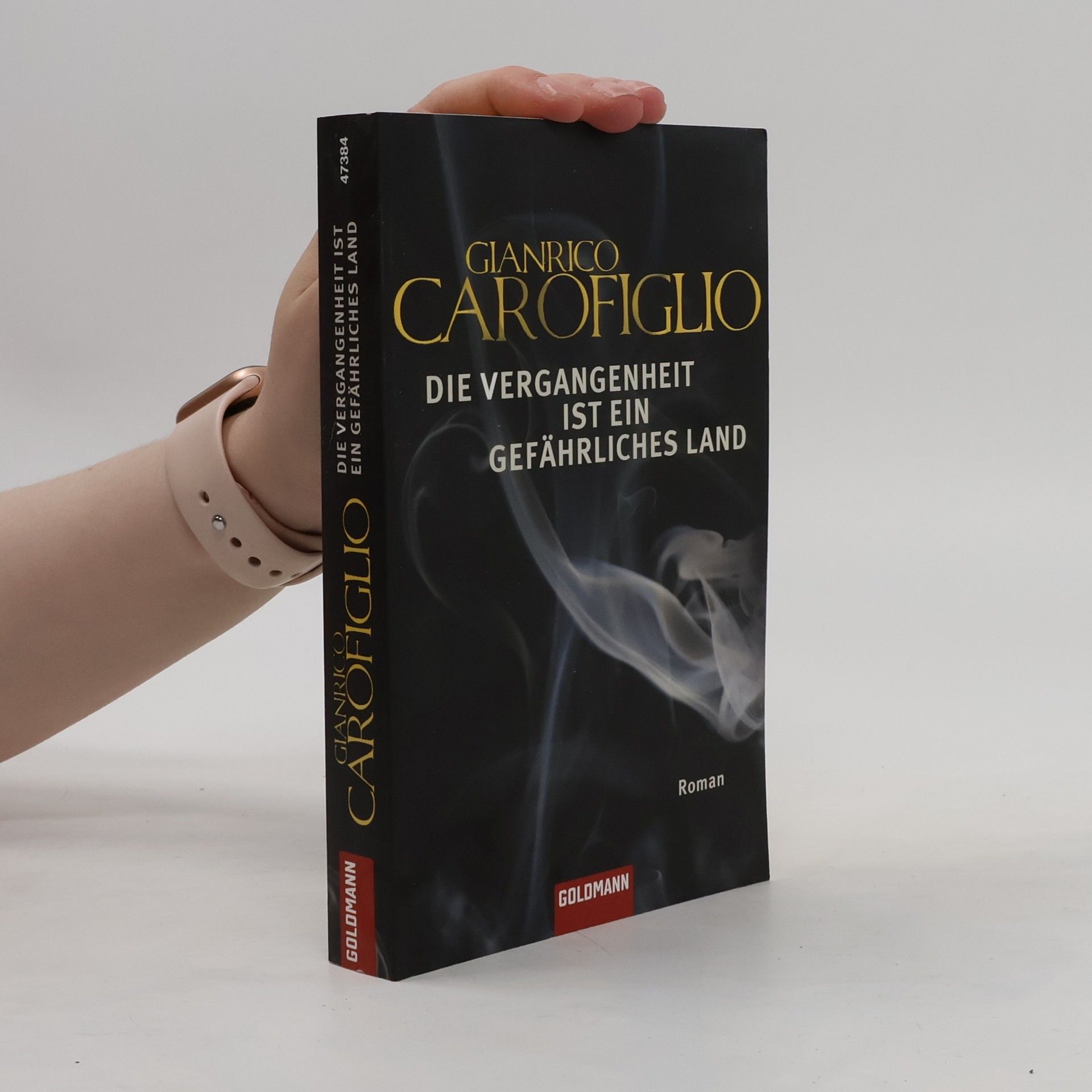 Gianrico Carofiglio Die Vergangenheit ist ein gefährliches Land