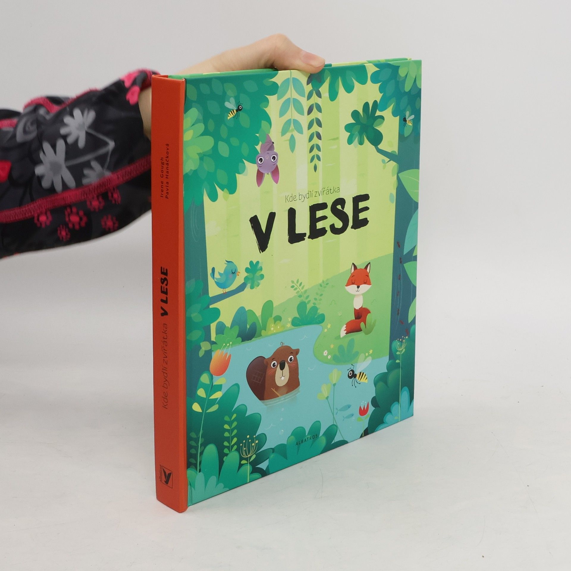 Pavla Hanáčková V lese : Kde bydlí zvířátka