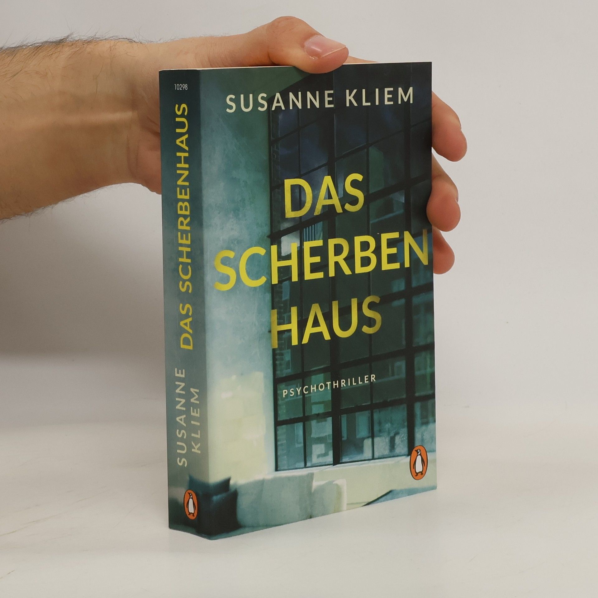 Susanne Kliem Das Scherbenhaus