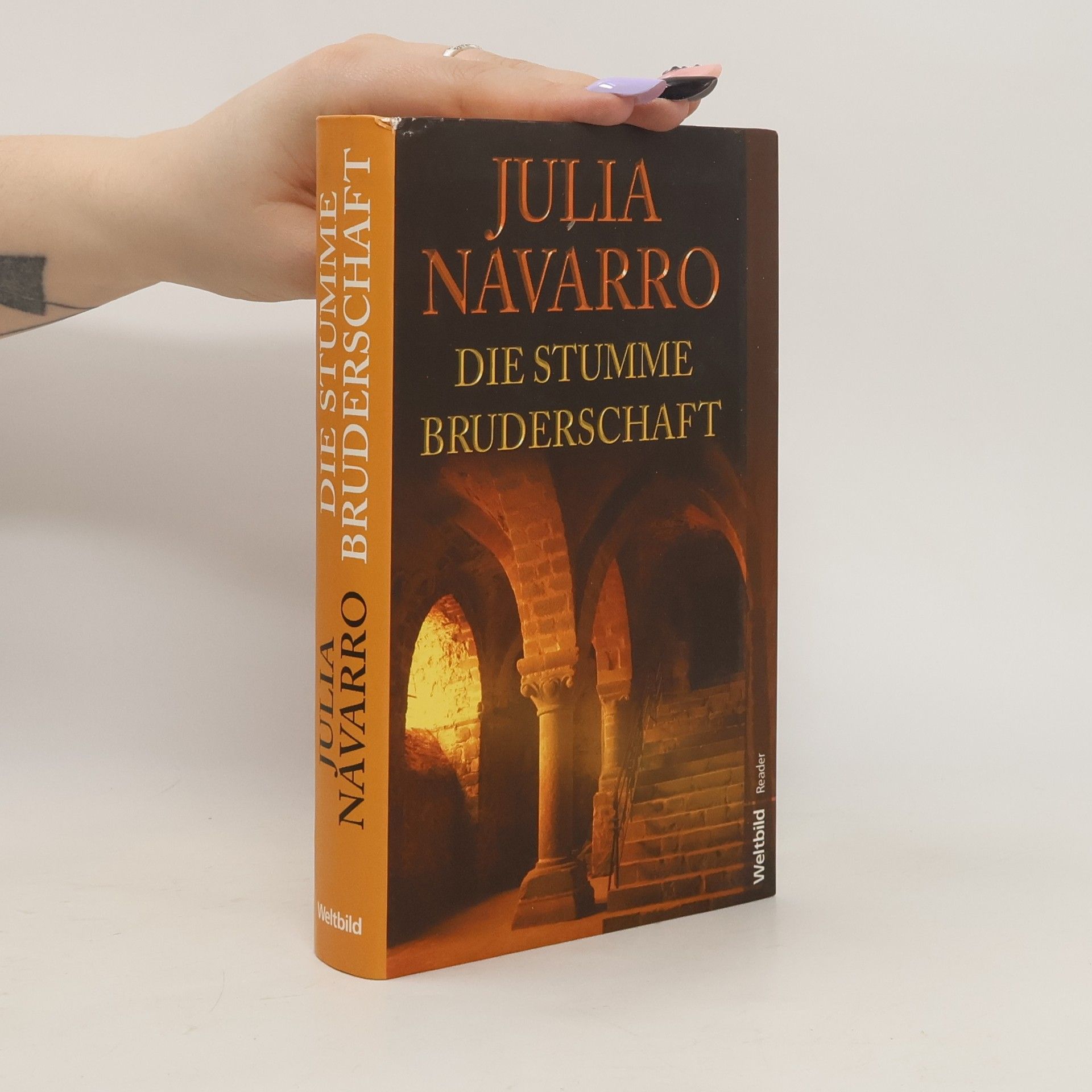 Julia Navarro Die stumme Bruderschaft