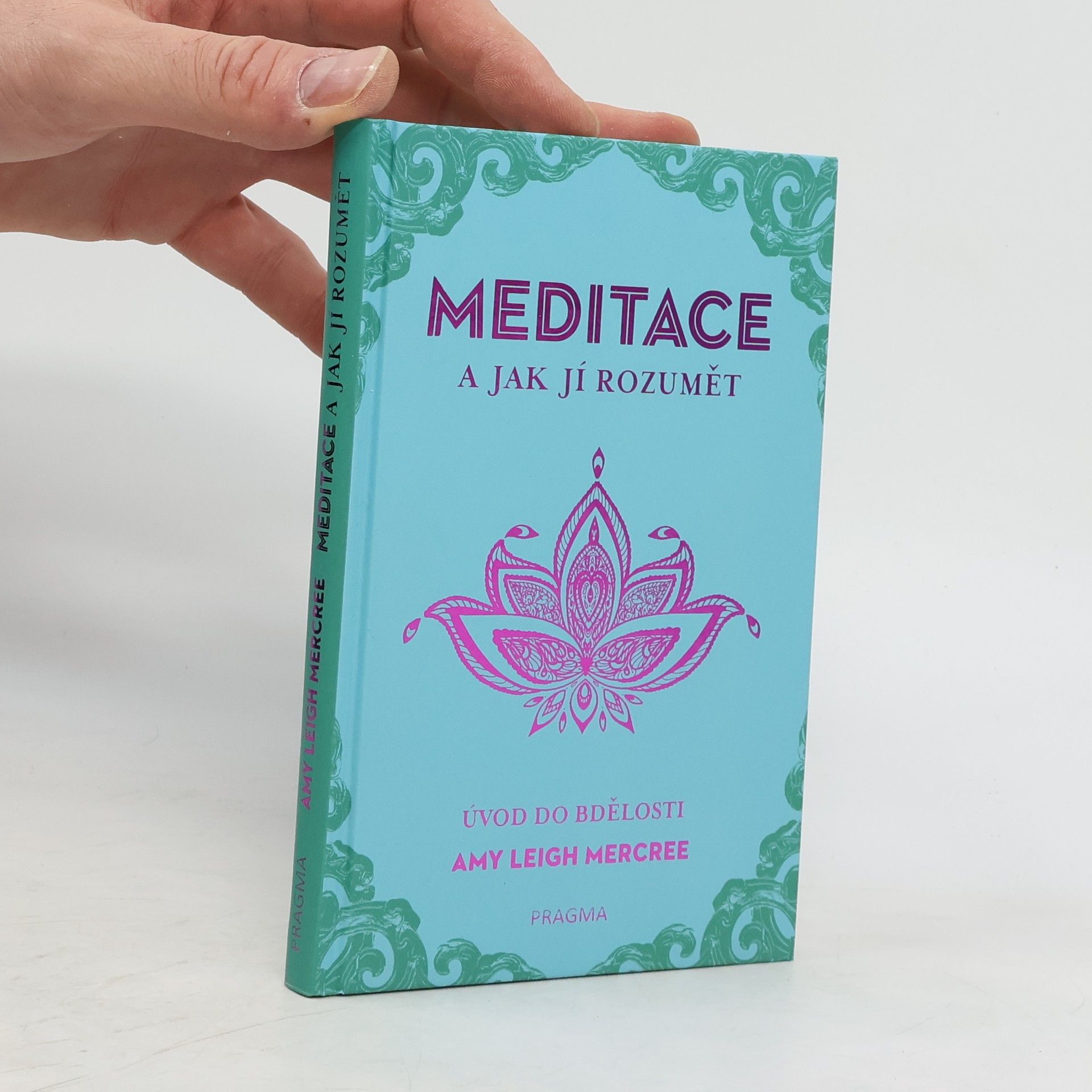 Amy Leigh Mercree Meditace a jak jí rozumět - Úvod do bdělosti