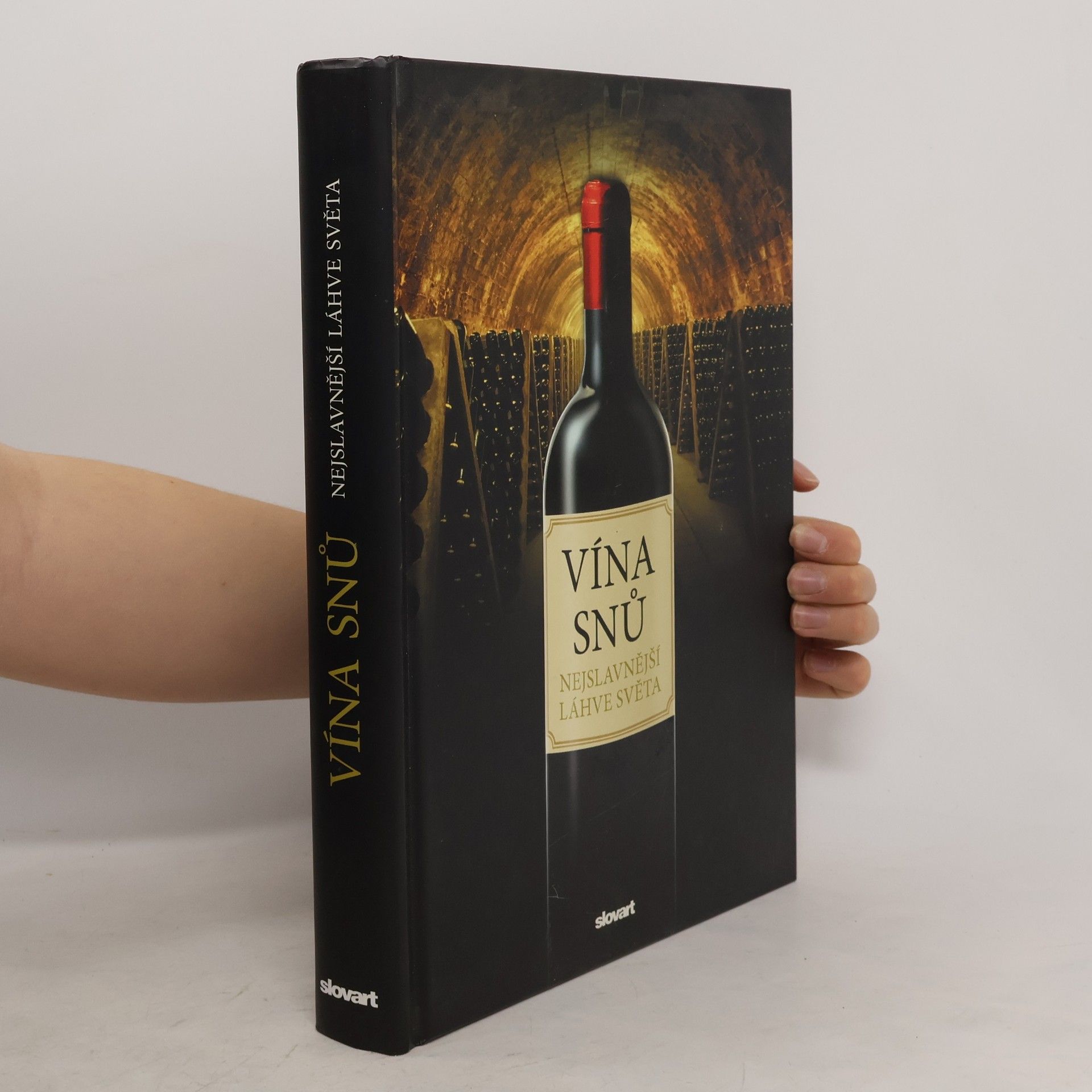Sylvie Girard Lagorce Vína snů