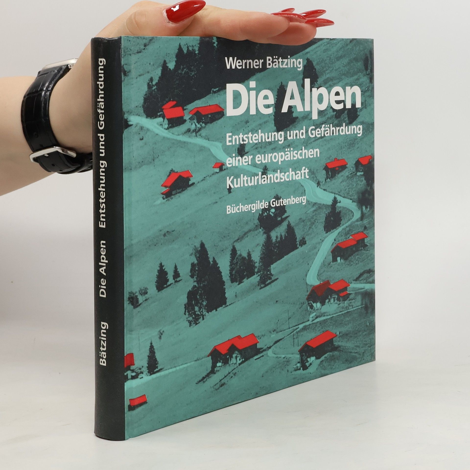 Werner Bätzing Die Alpen