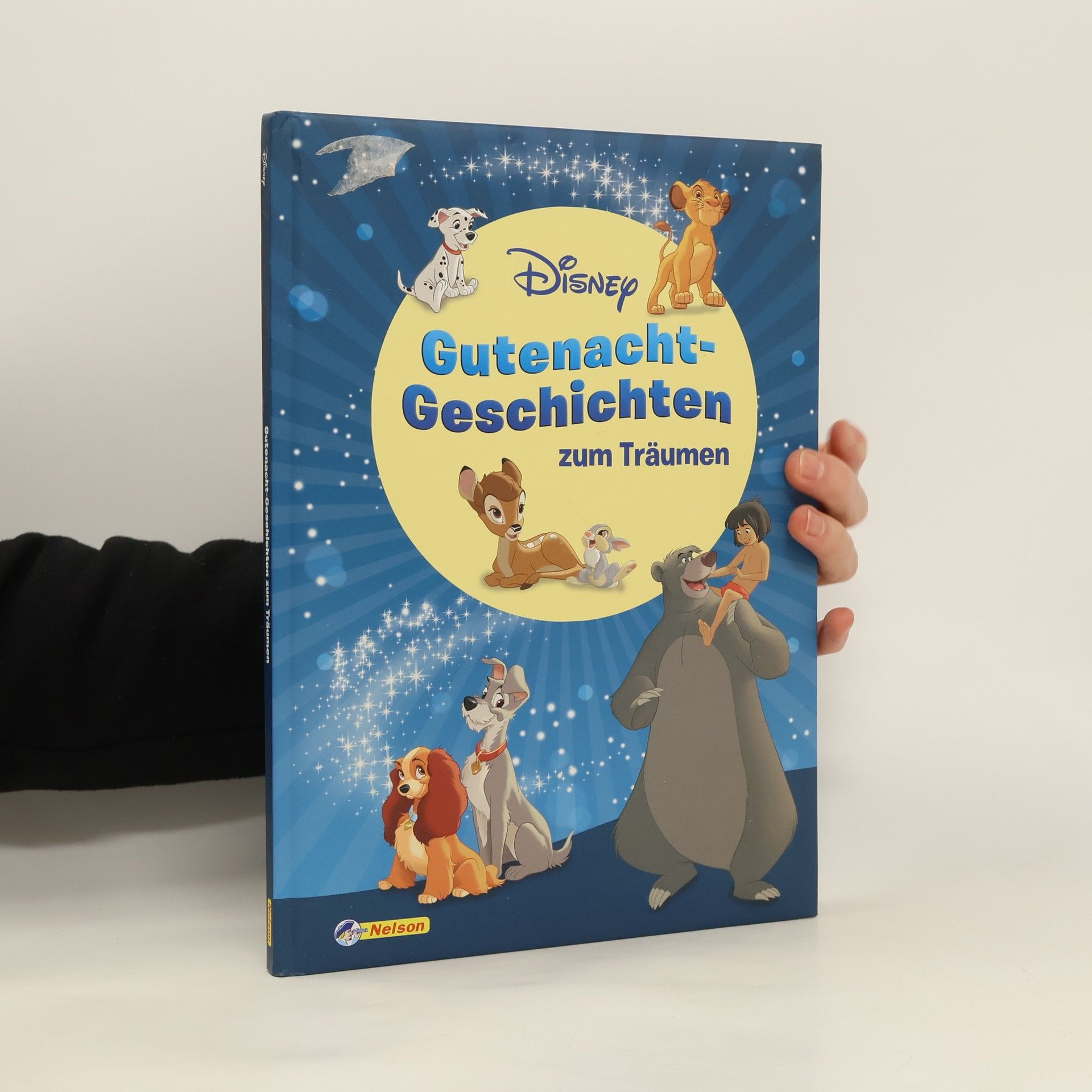 Autorenkollektiv Gutenacht-Geschichten zum Träumen