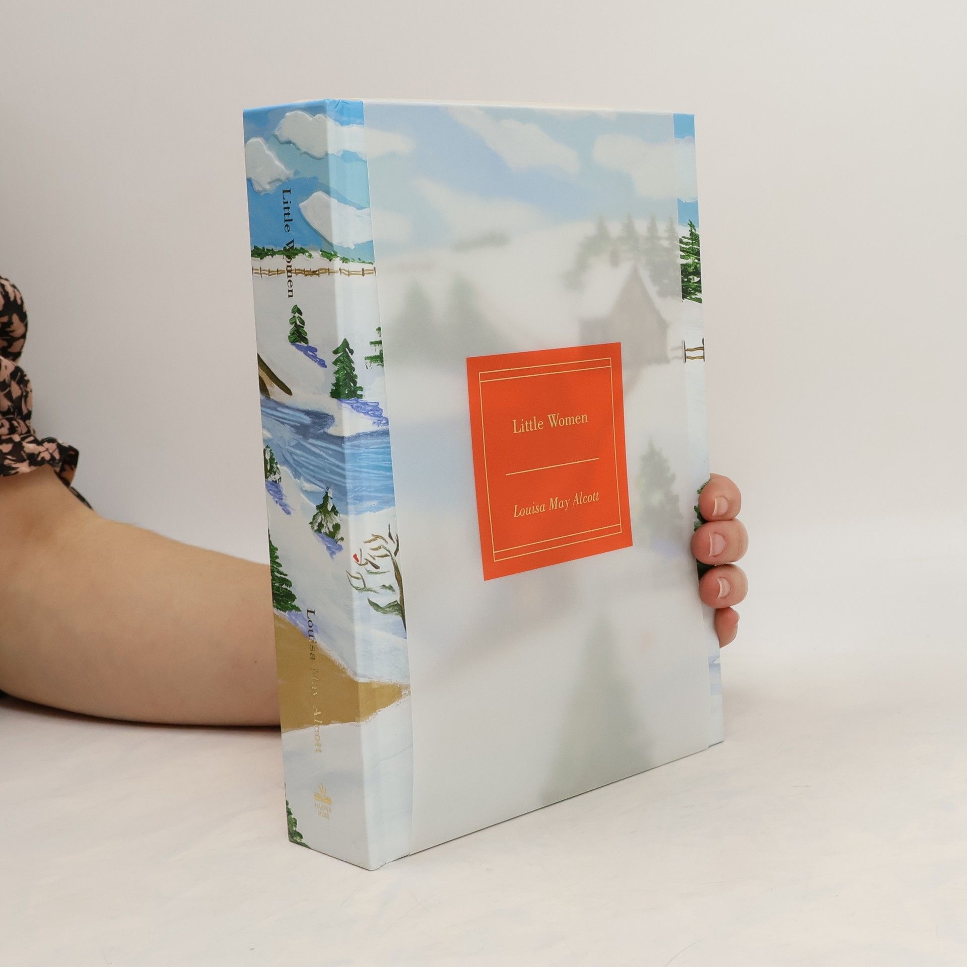 Louisa May Alcott Little Women (Painted Edition)