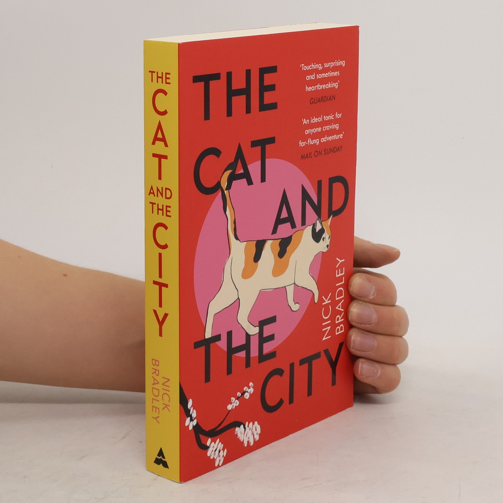 Nick Bradley The Cat and the City
