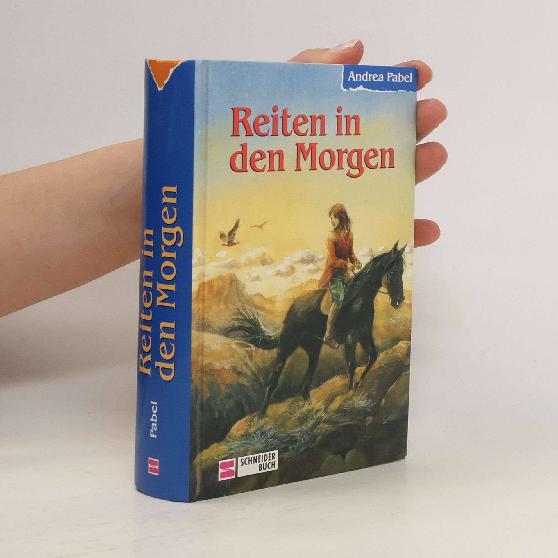 Andrea Pabel Reiten in den Morgen