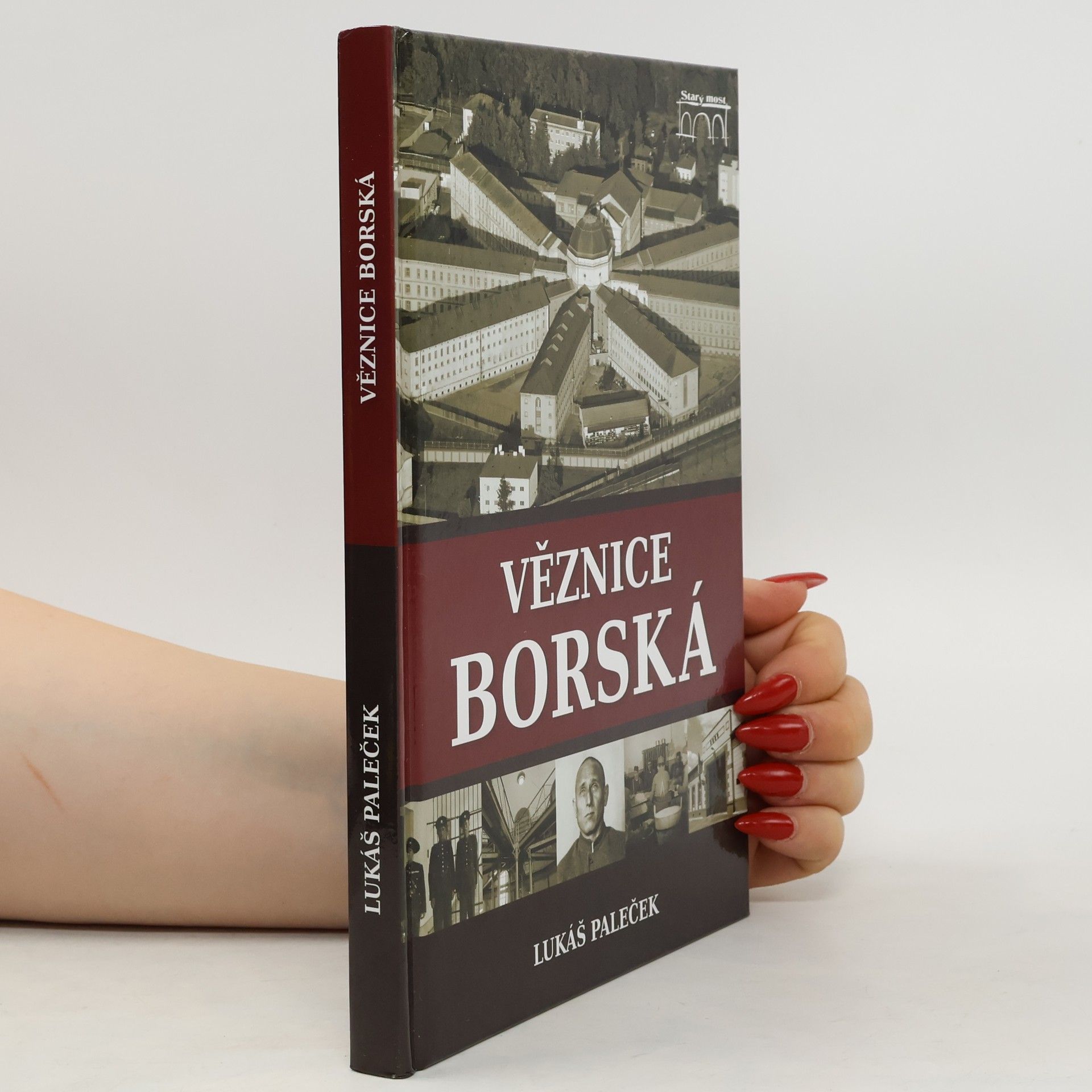 Lukáš Paleček Věznice borská