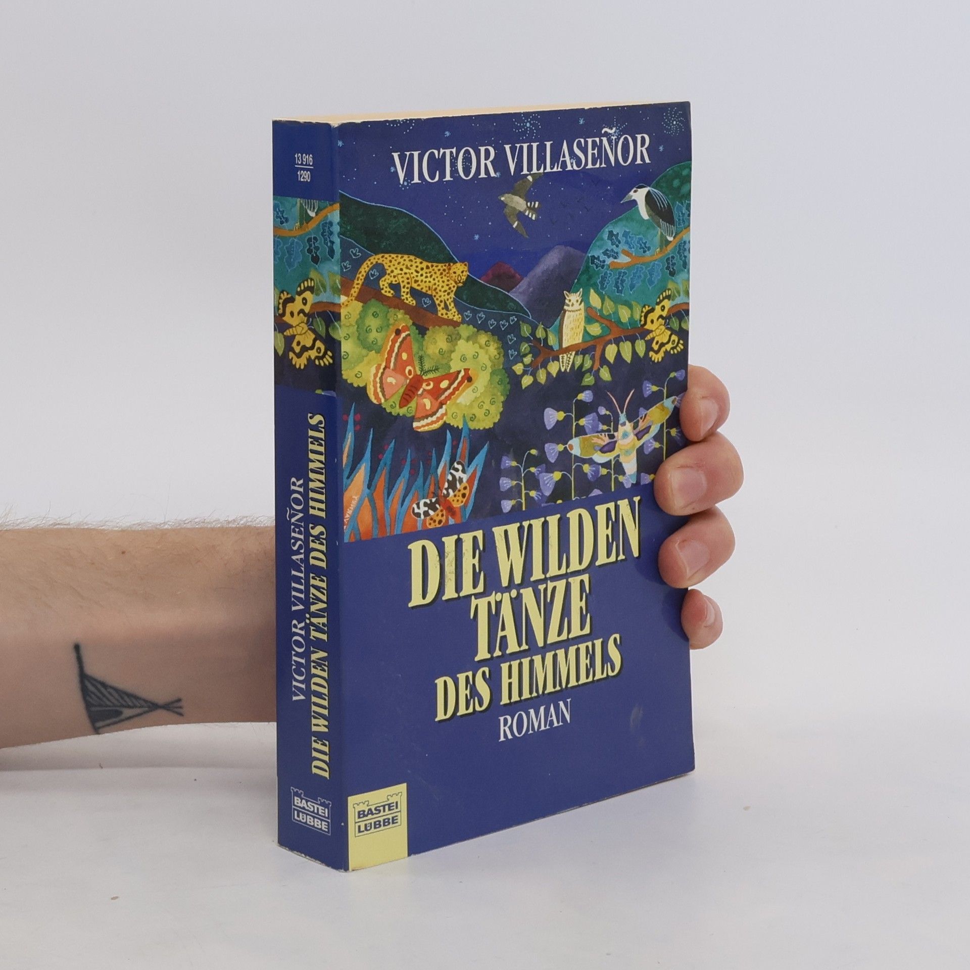Victor Edmundo Villasen or Die wilden Tänze des Himmels