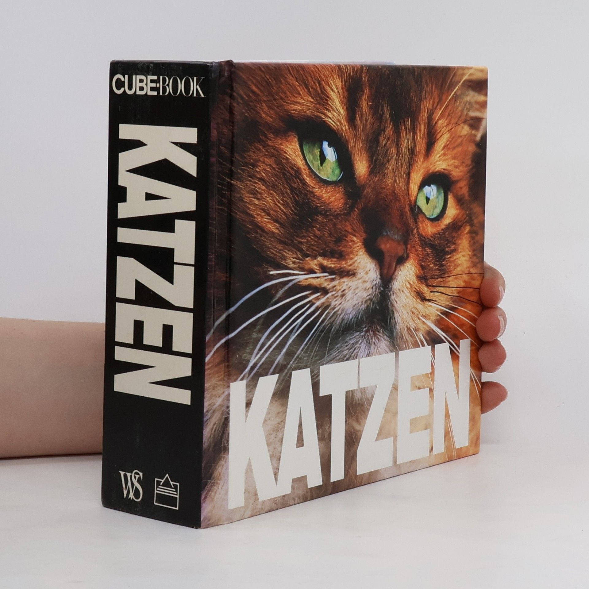 Enrico Lavagno Katzen