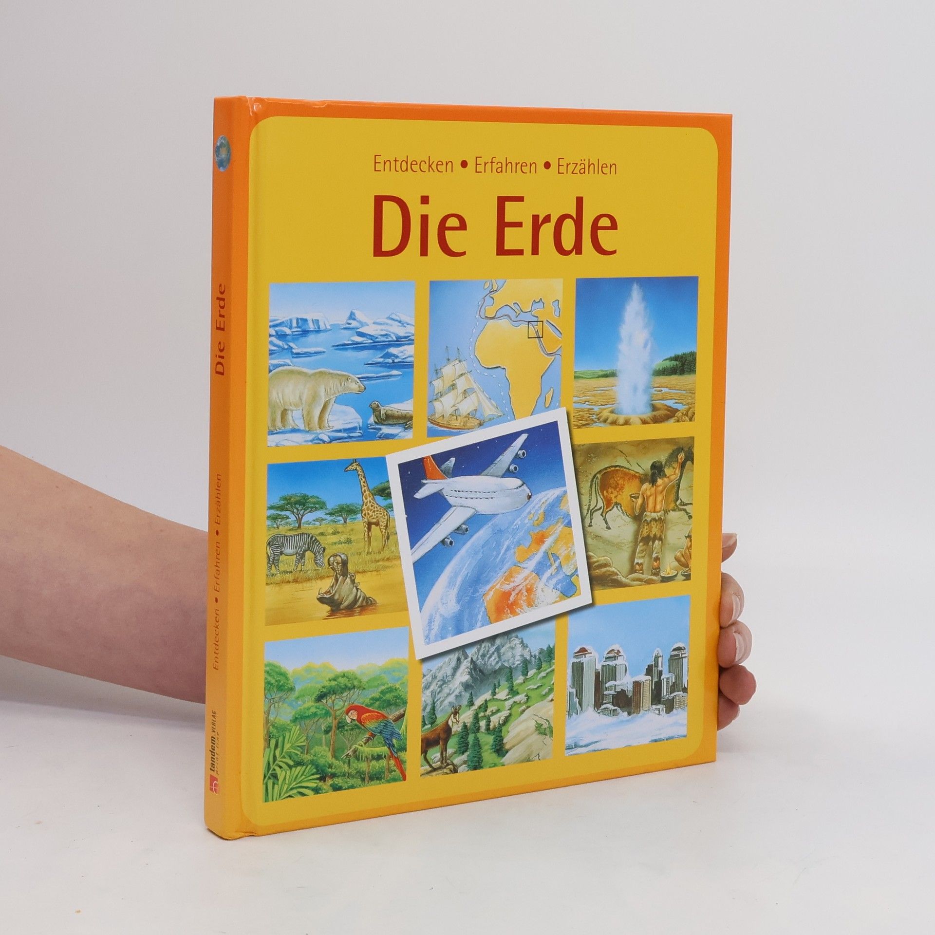 Agnes Vendewiele Die Erde